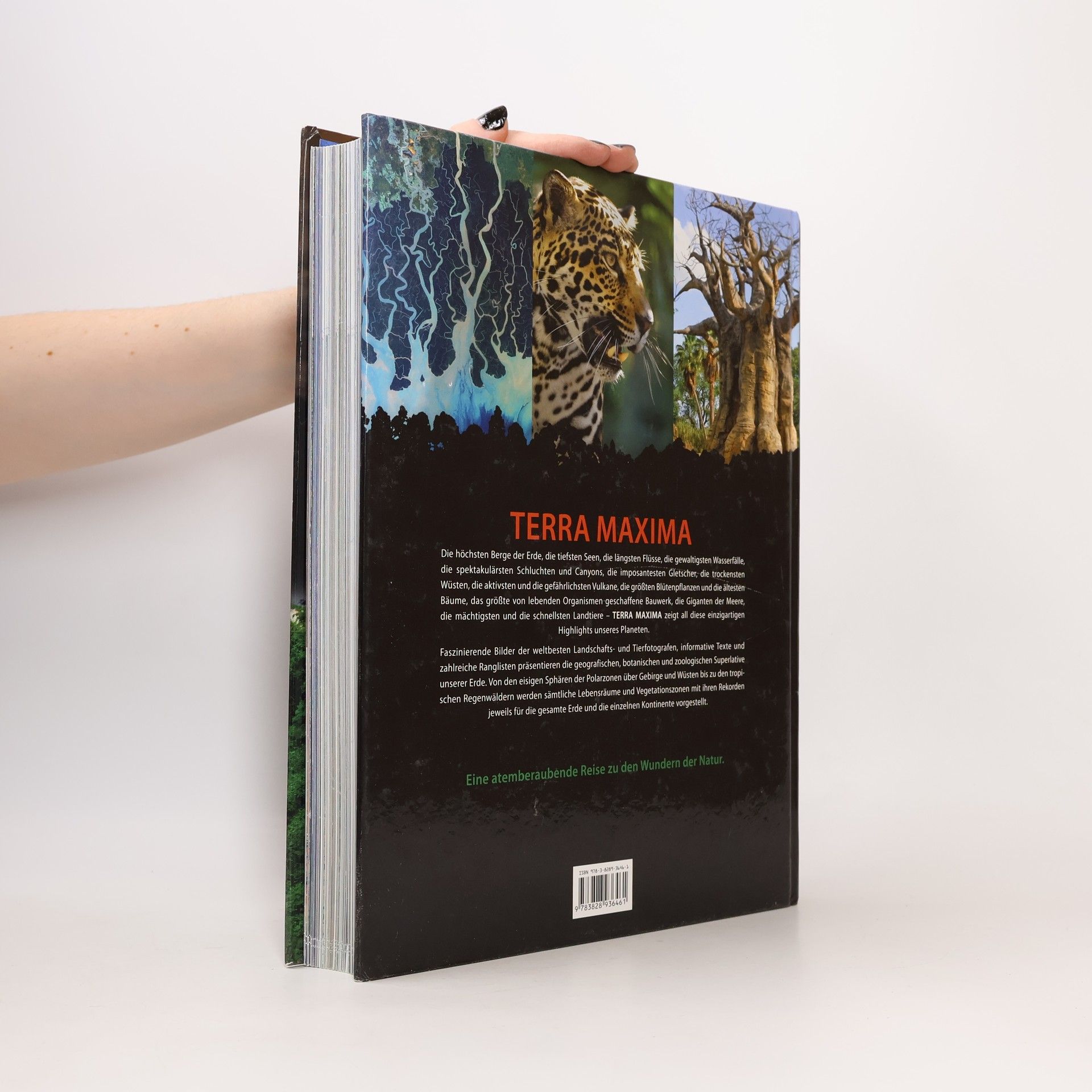 Terra maxima