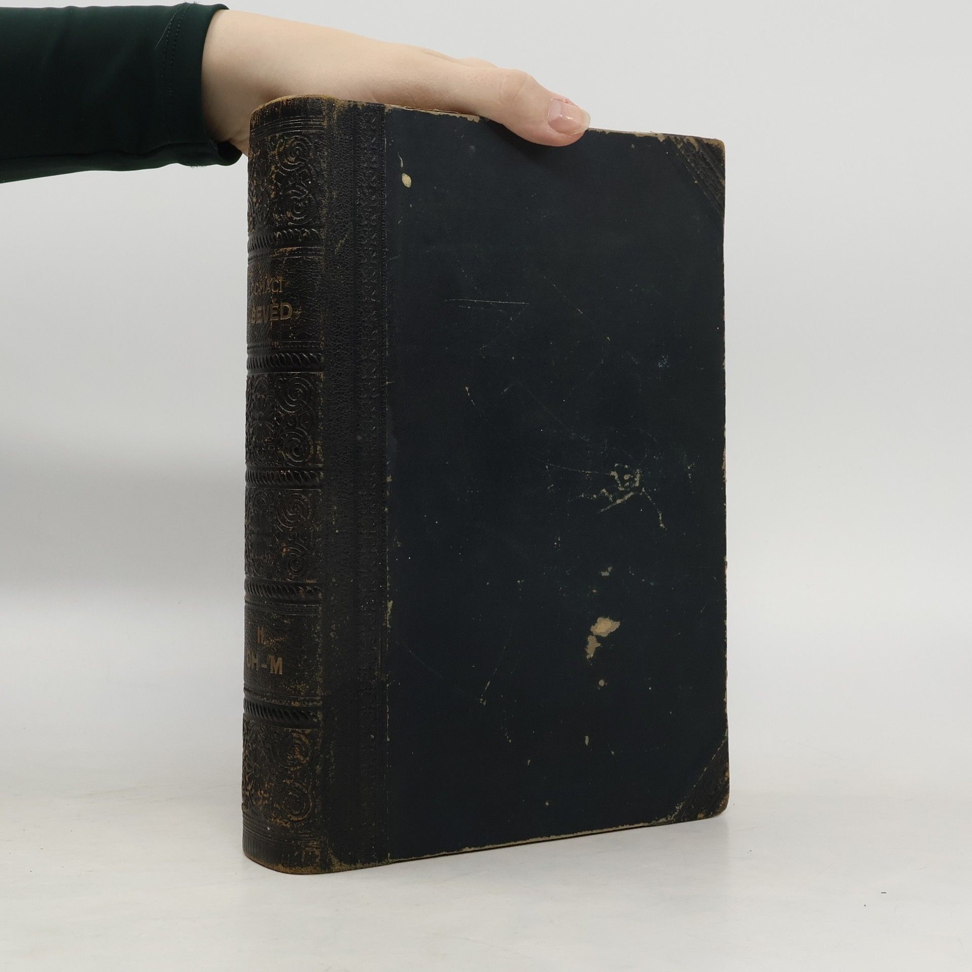 Collectif d'auteurs Domácí vševěd 2. Ch-M