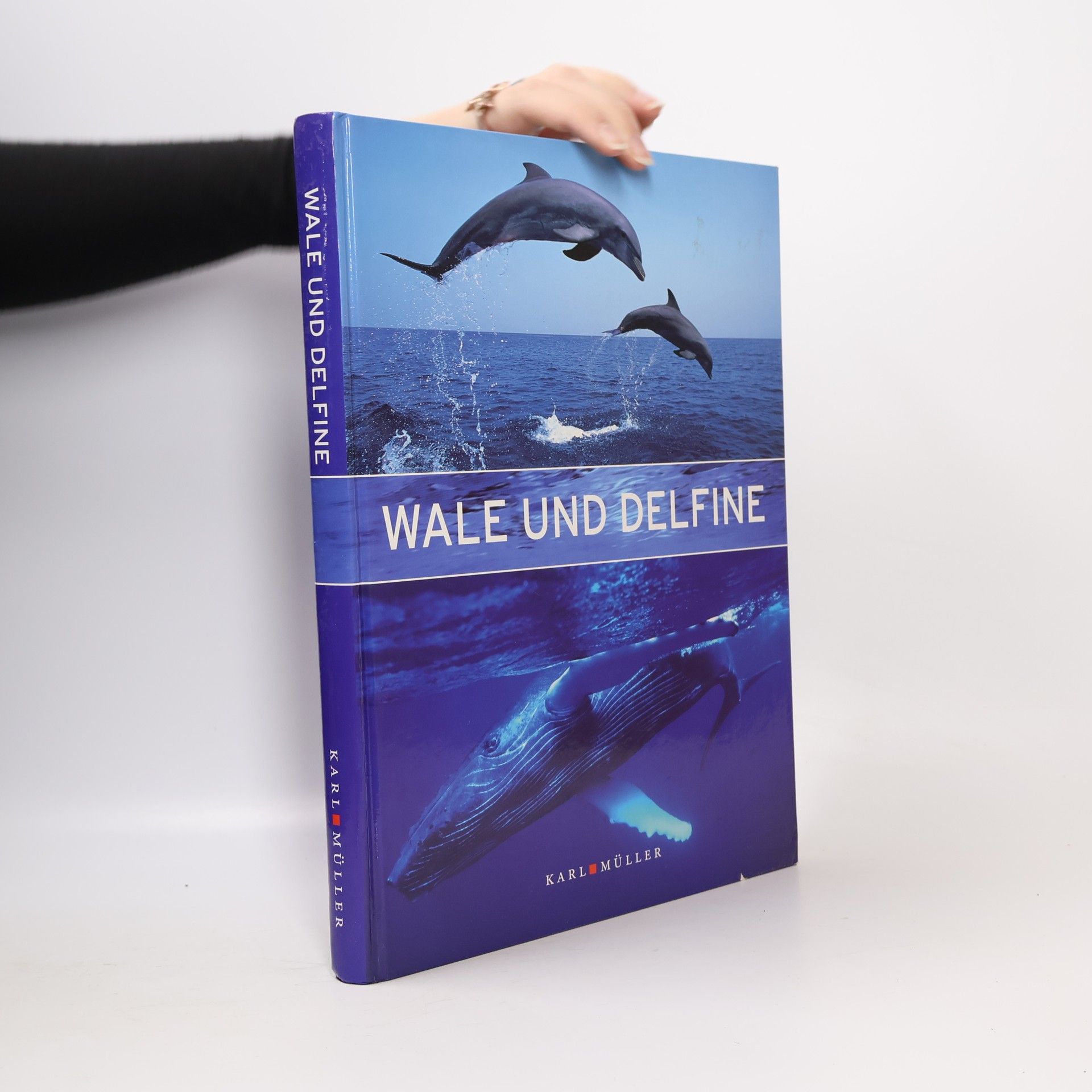 Jo rg Keller Wale und Delfine