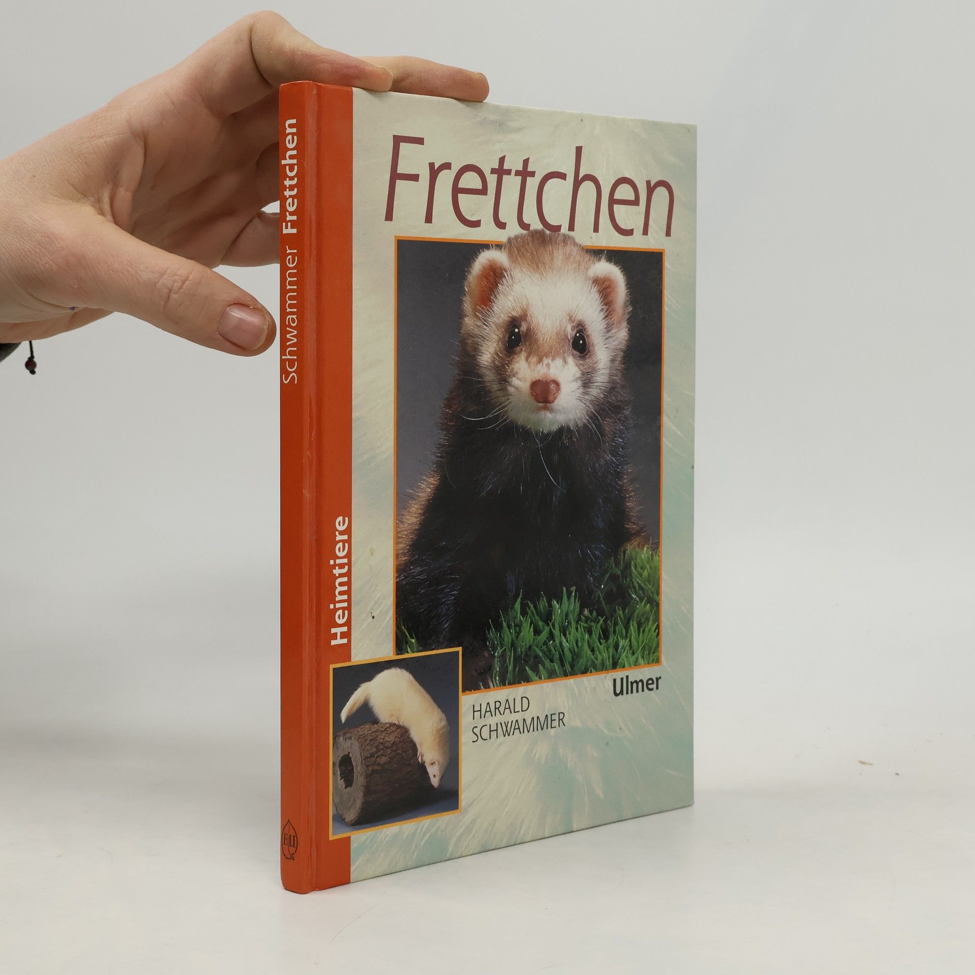 Harald Schwammer Frettchen