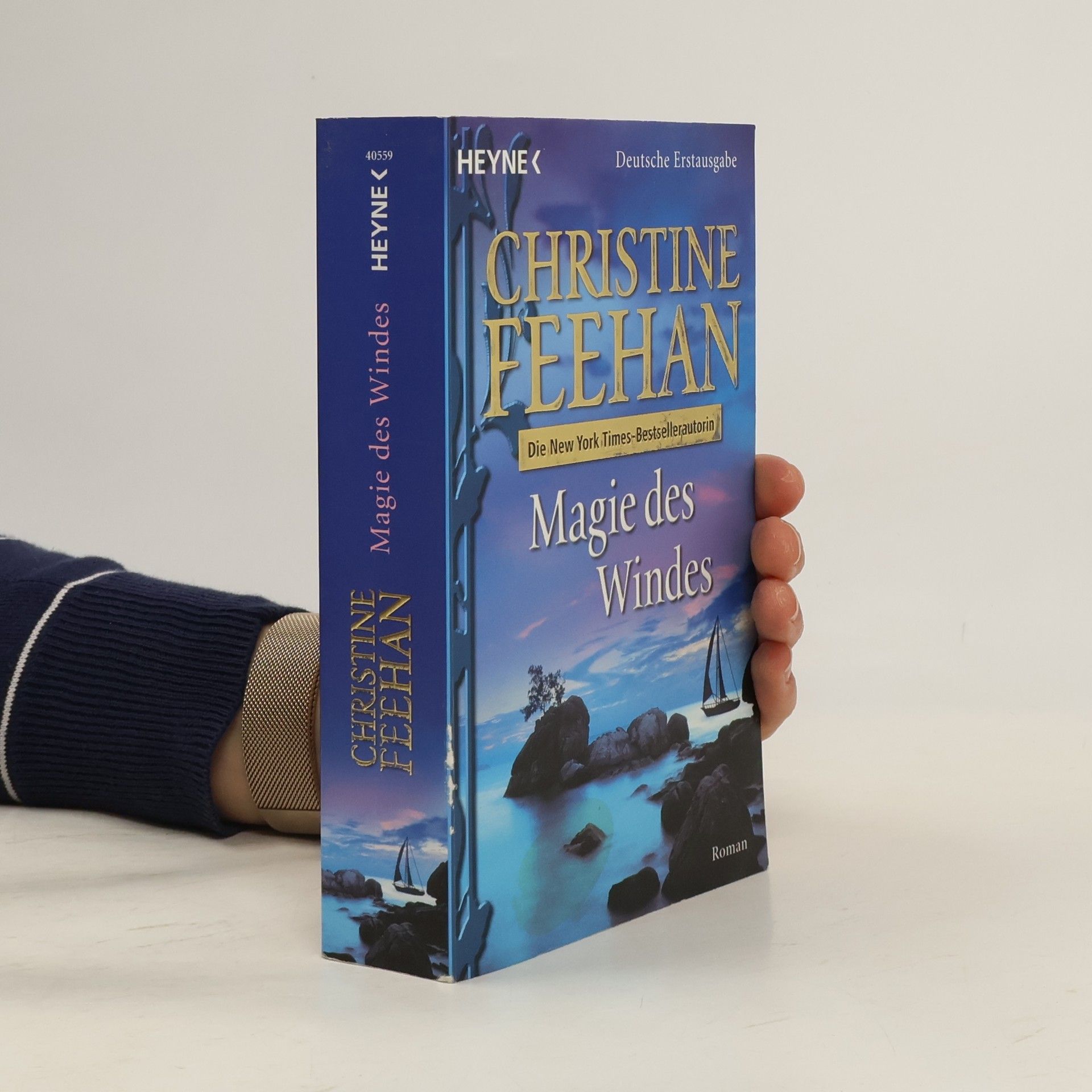 Christine Feehan Magie des Windes
