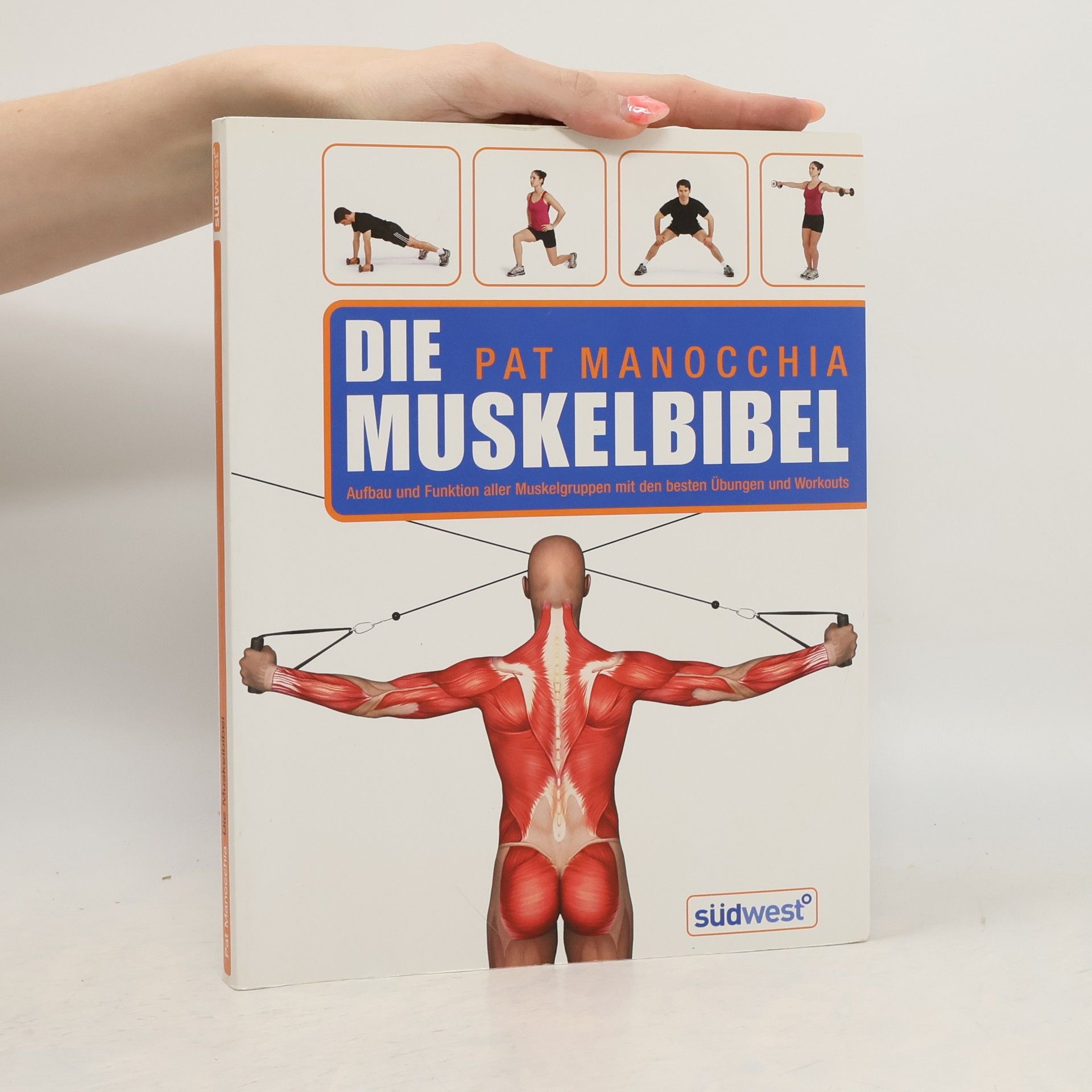 Pat Manocchia Das Muskelbuch
