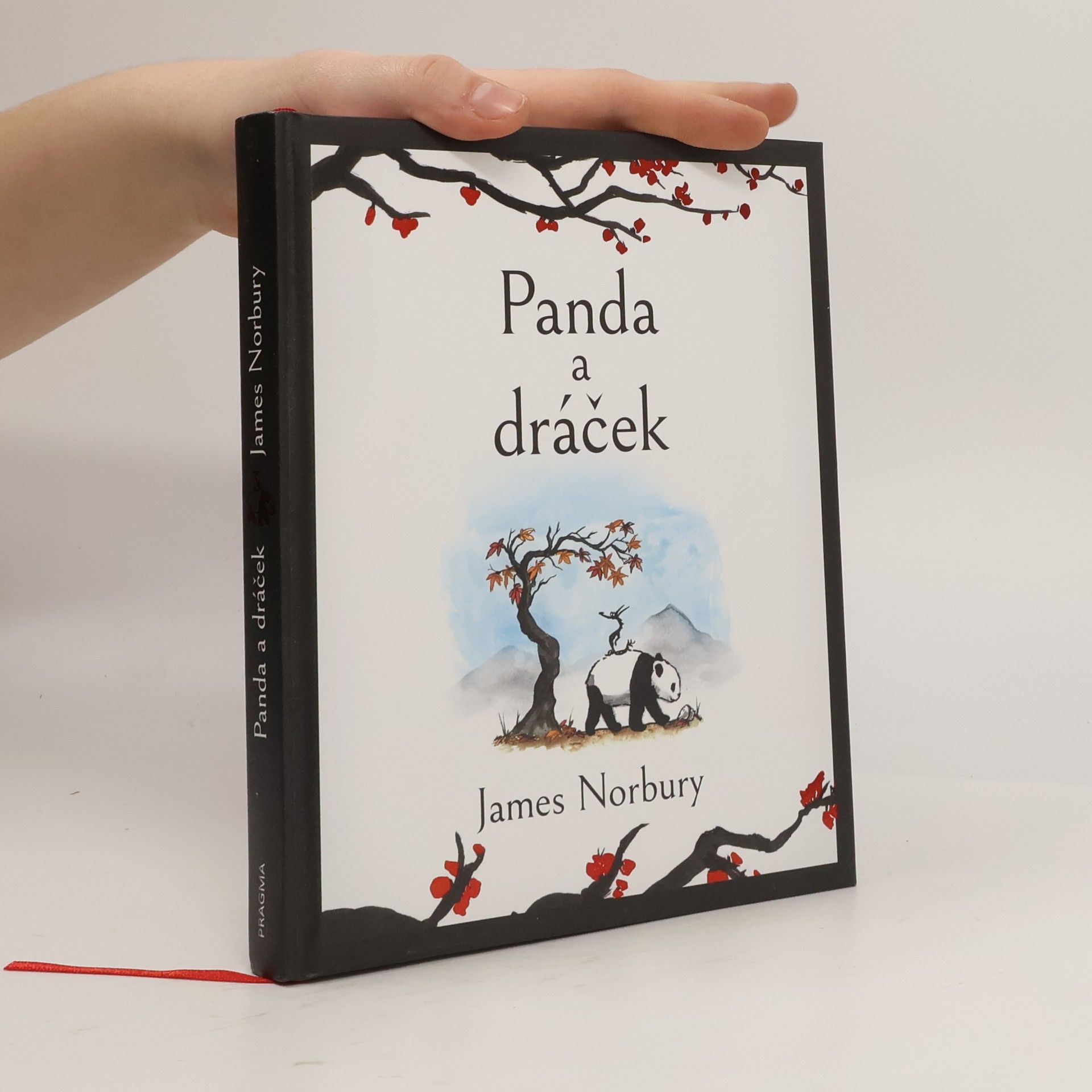 James Norbury Panda a dráček