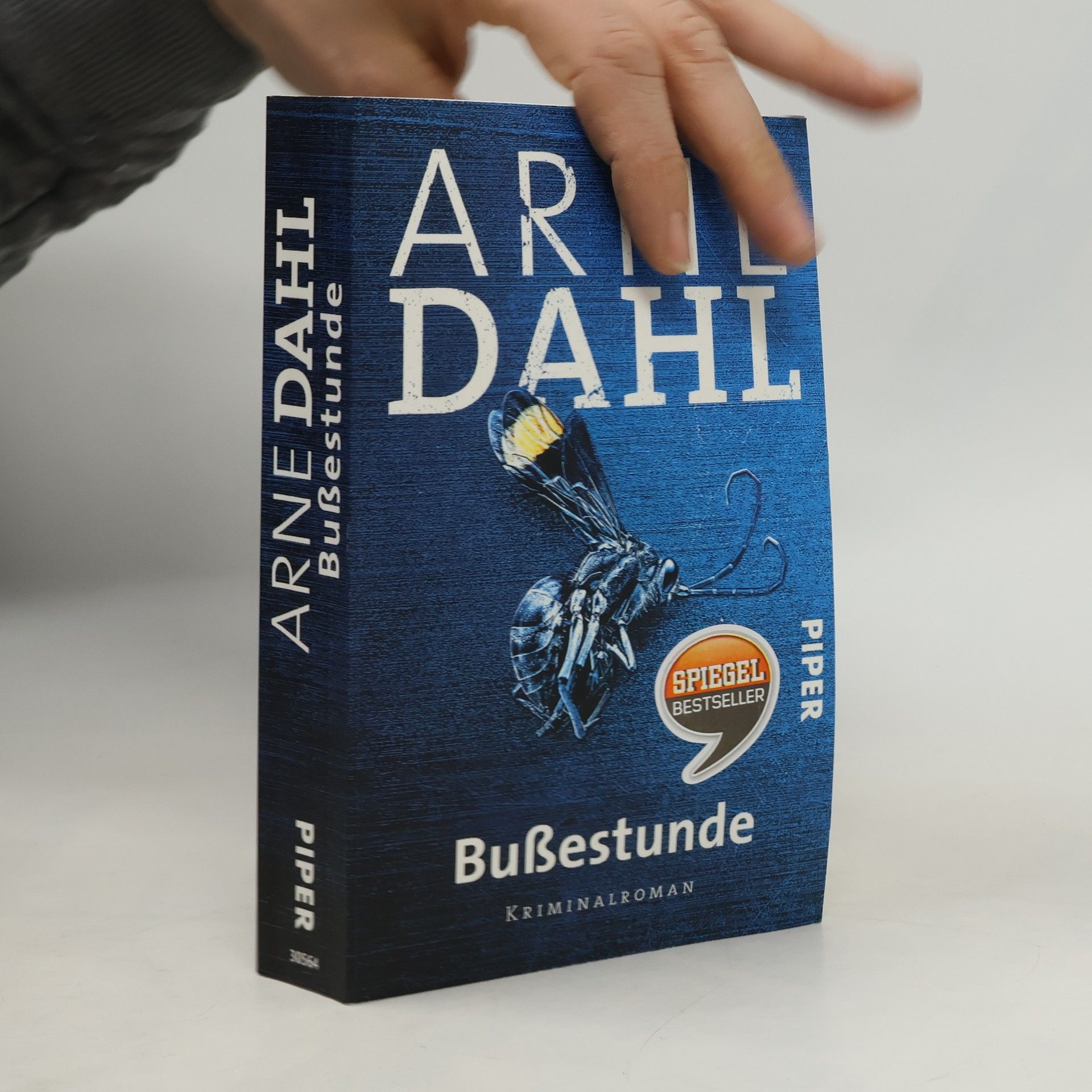 Arne Dahl Bußestunde