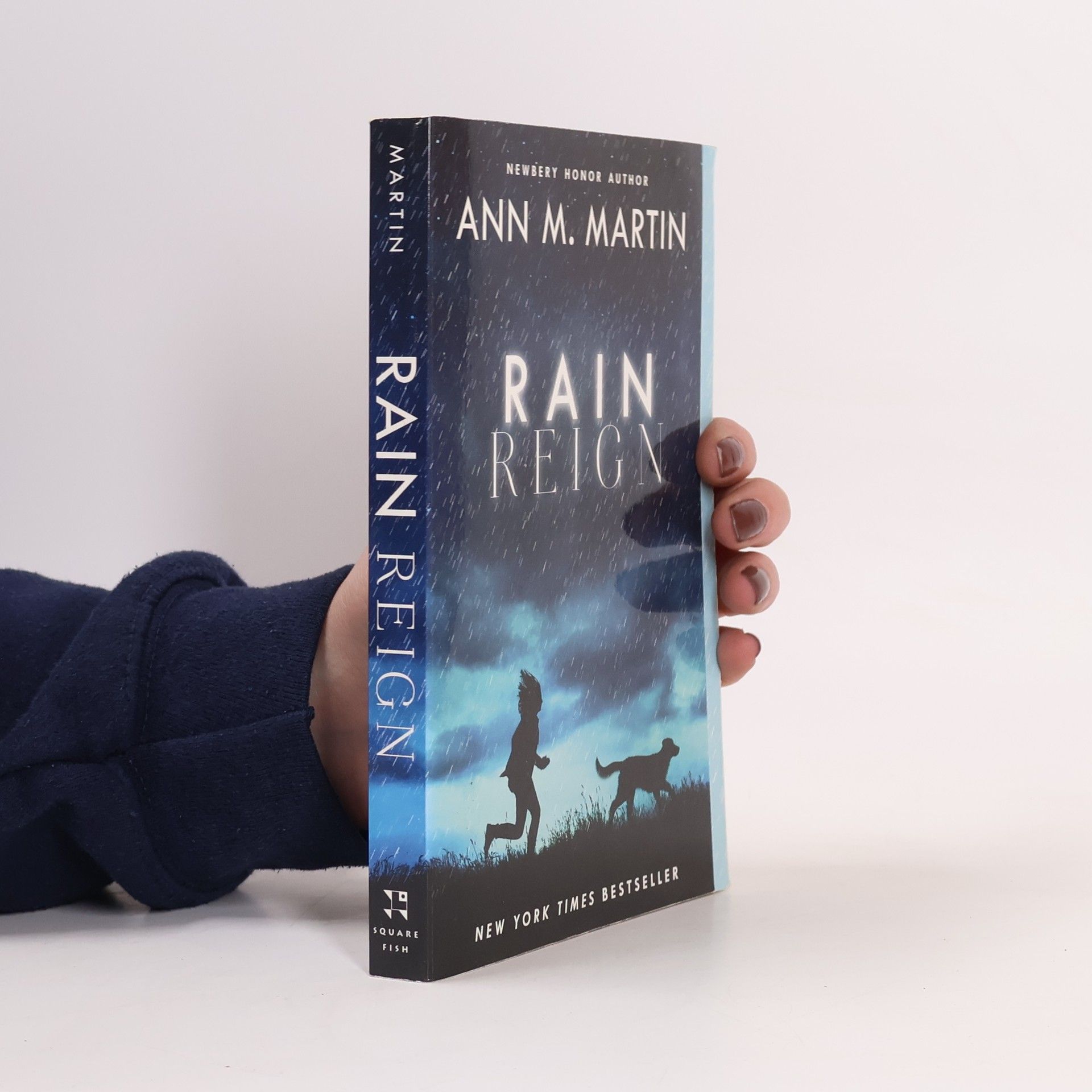 Ann M. Martin Rain Reign
