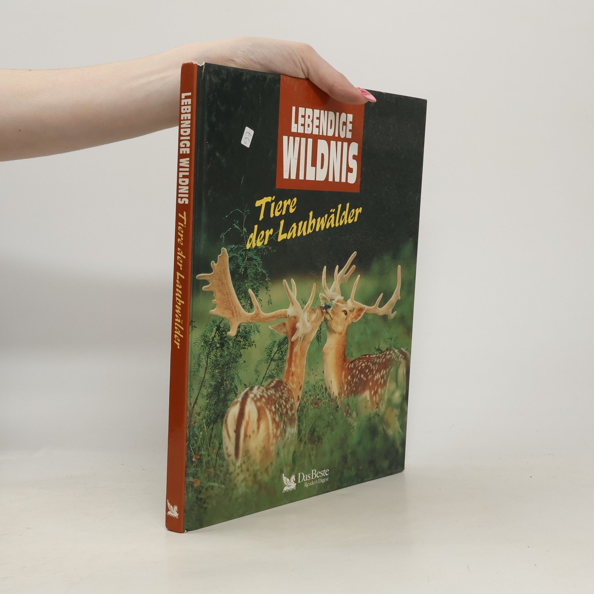 Annegret Diener-Steinherr Tiere der Laubwälder