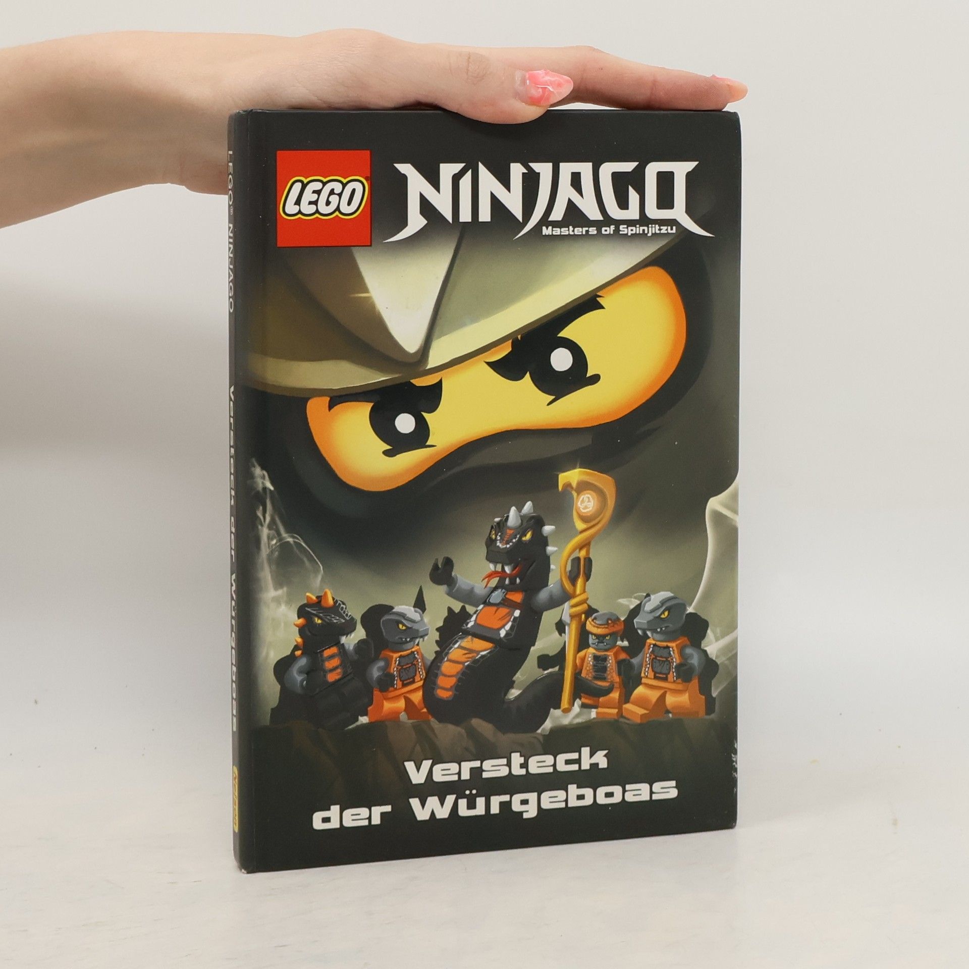 Autorenkollektiv Lego Ninjago, masters of spinjitzu