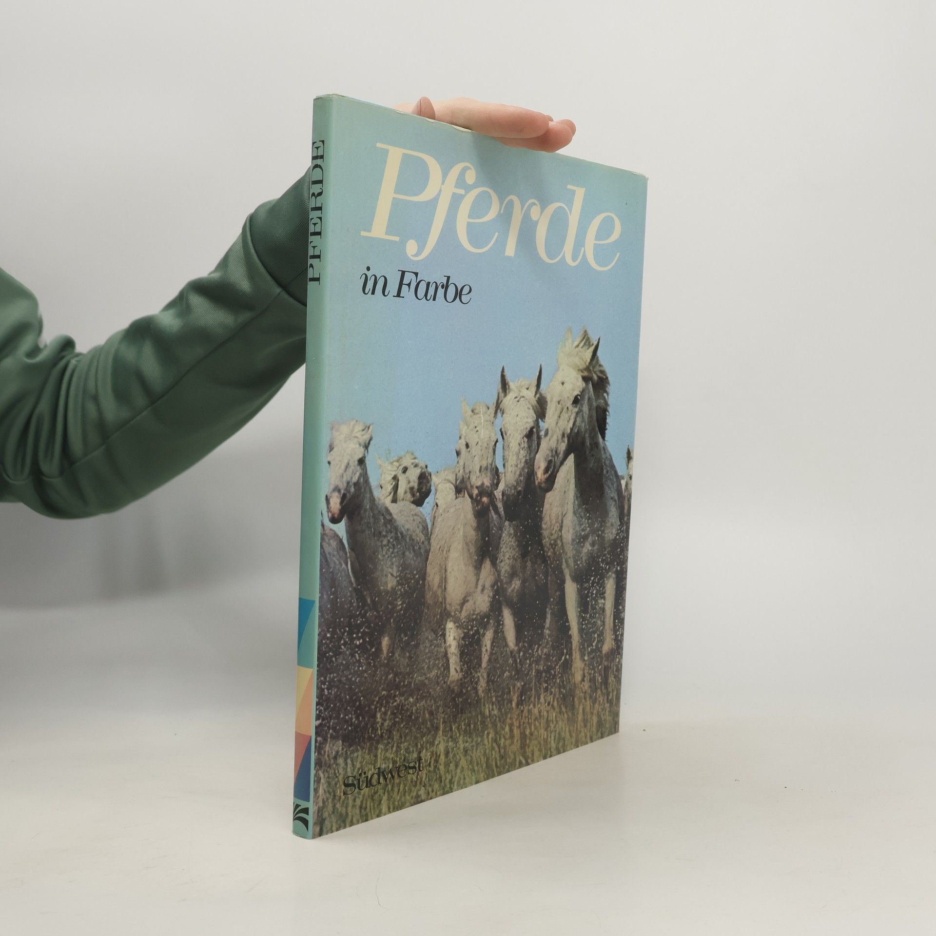 Anne Alcock Pferde in Farbe