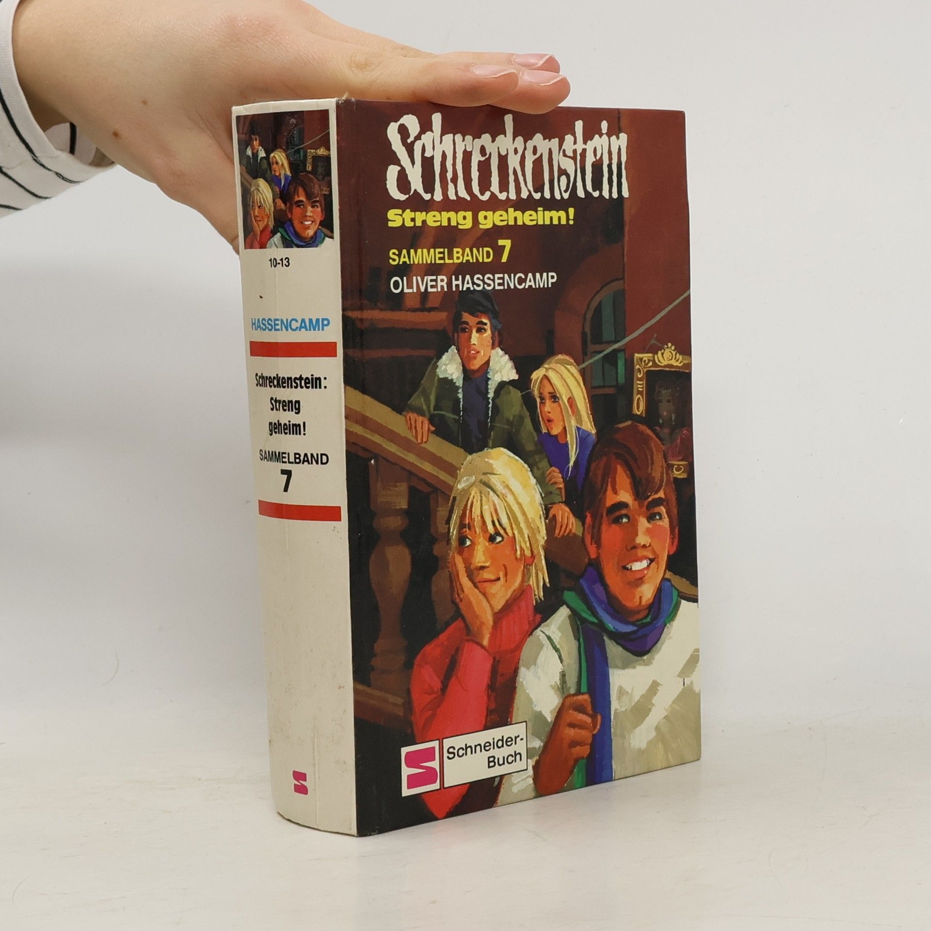 Oliver Hassencamp Schreckenstein - Streng geheim!