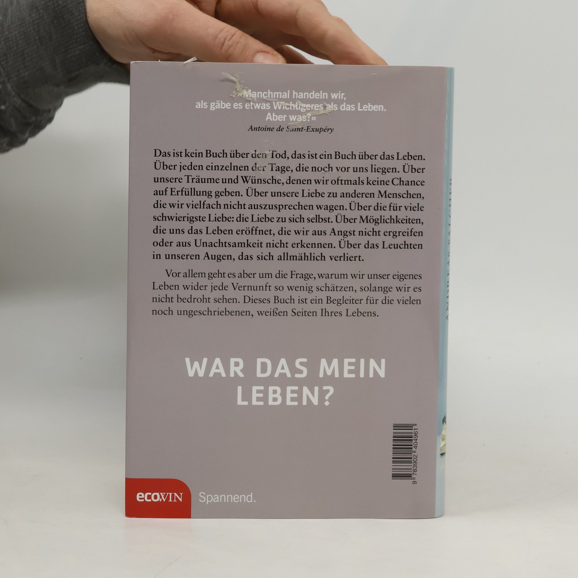 Andreas Salcher Meine letzte Stunde