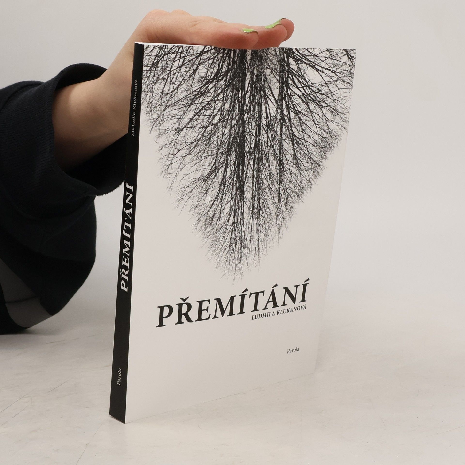 Ludmila Klukanová Přemítání