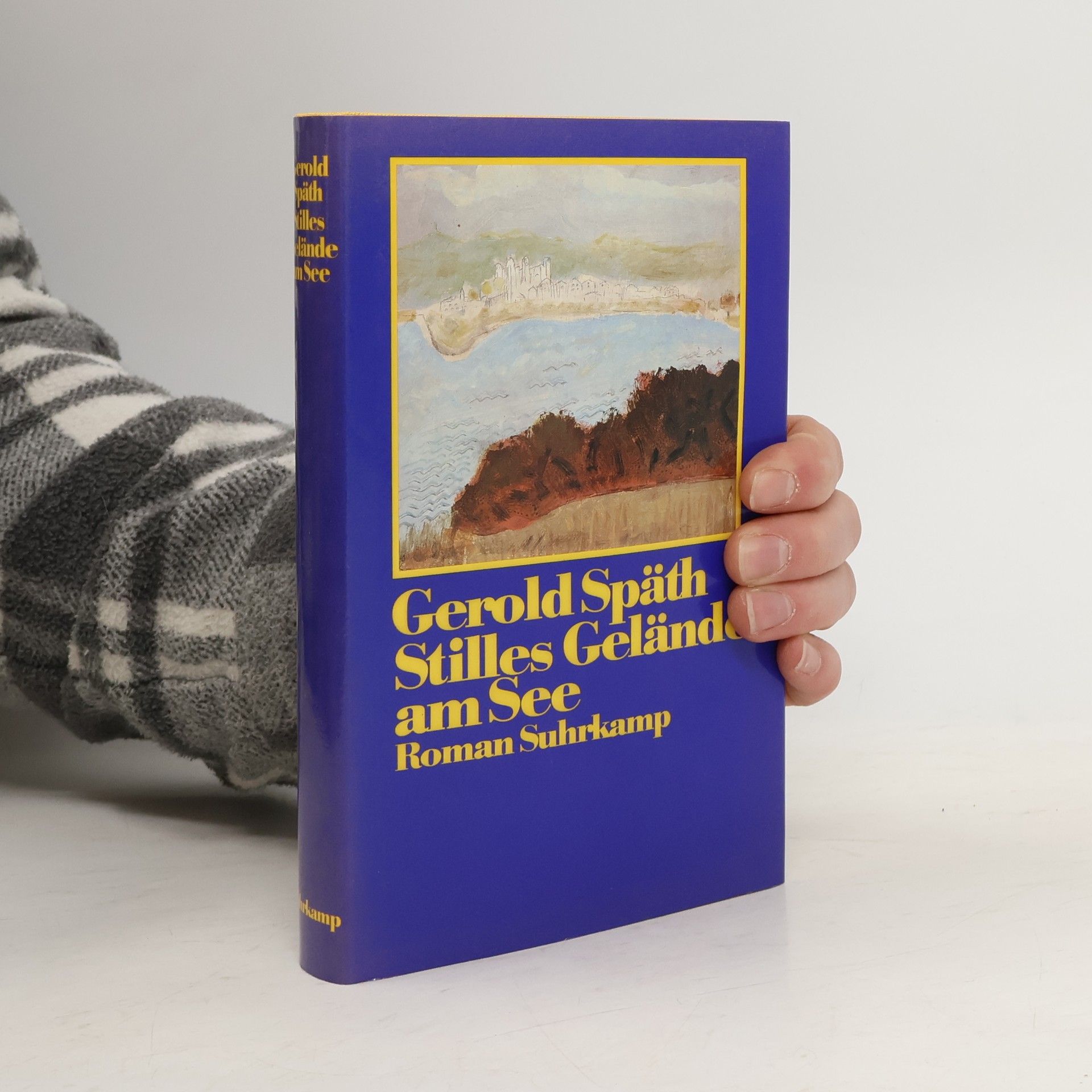 Stilles Gelände am See. Roman