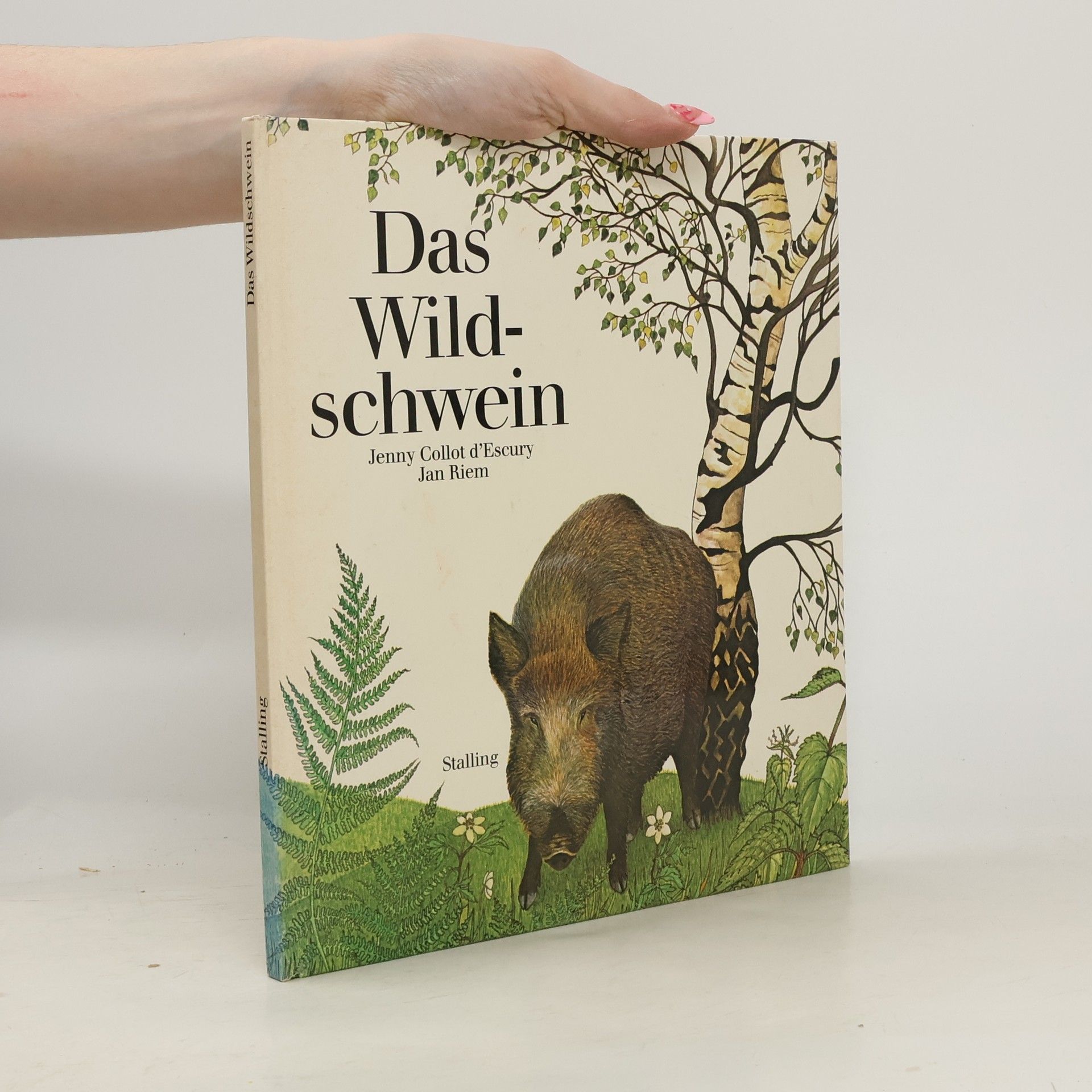 Jenny Collot d'Escury Das Wildschwein