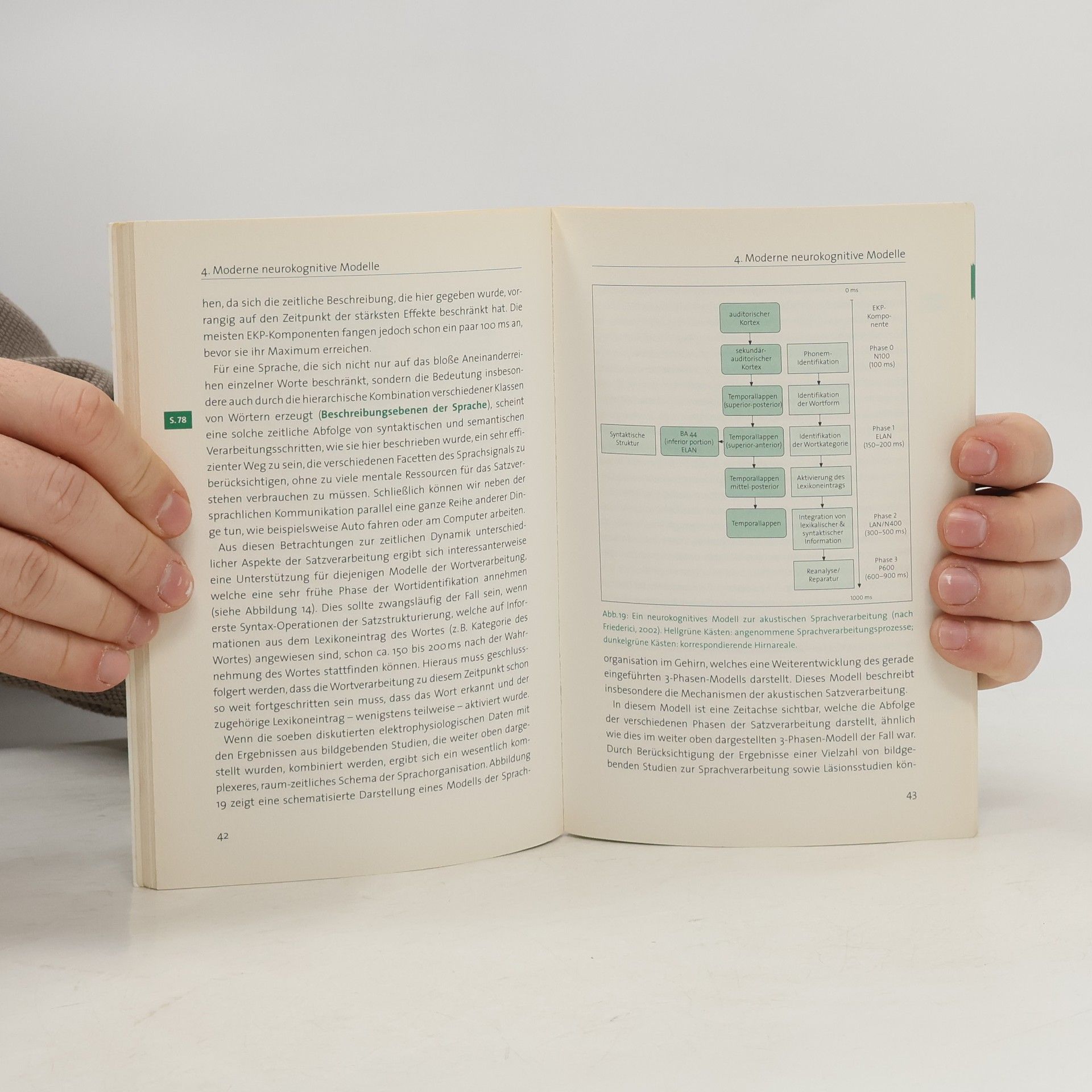 Christoph S. Herrmann Gehirn & Sprache