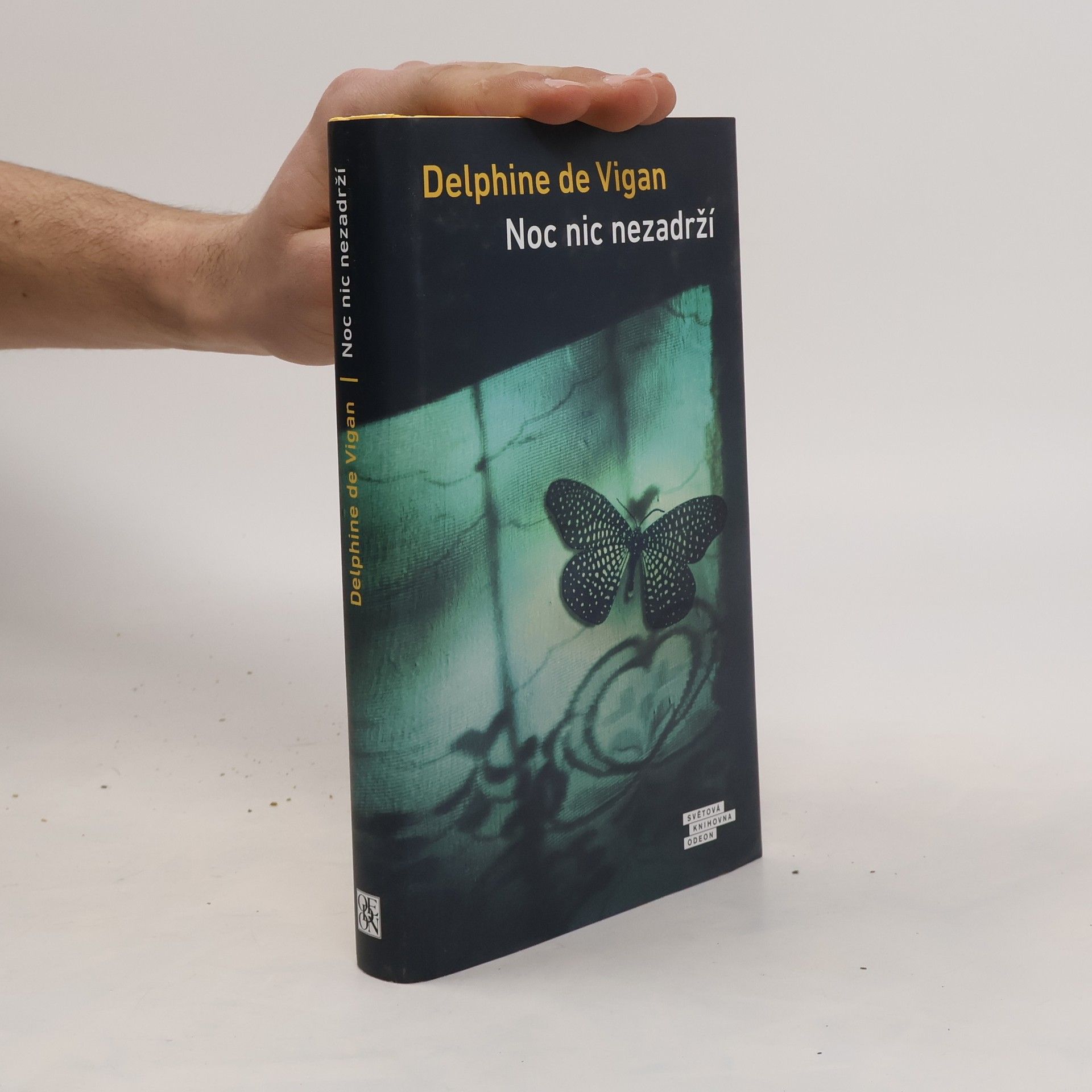 Delphine de Vigan Noc nic nezadrží