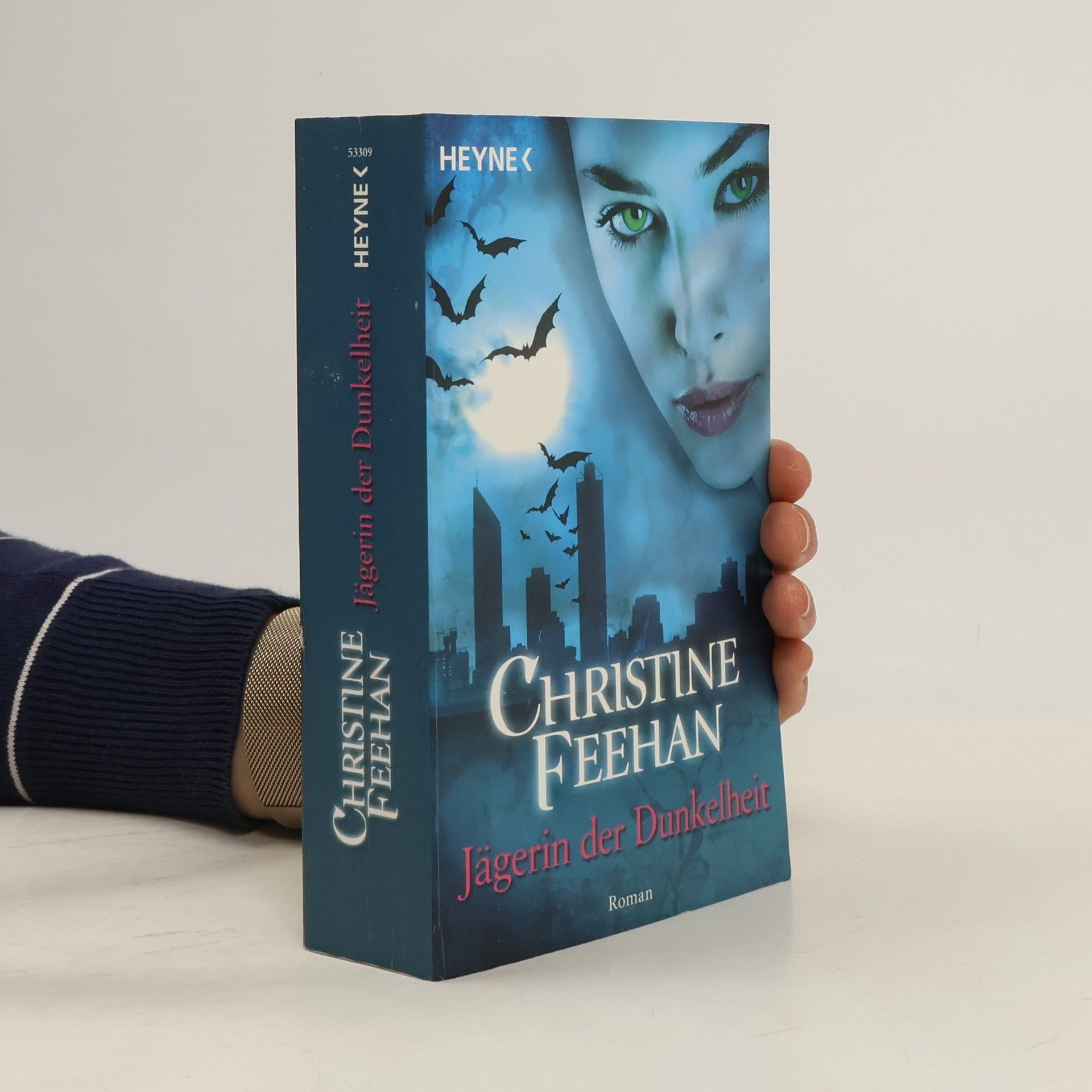 Christine Feehan Jägerin der Dunkelheit