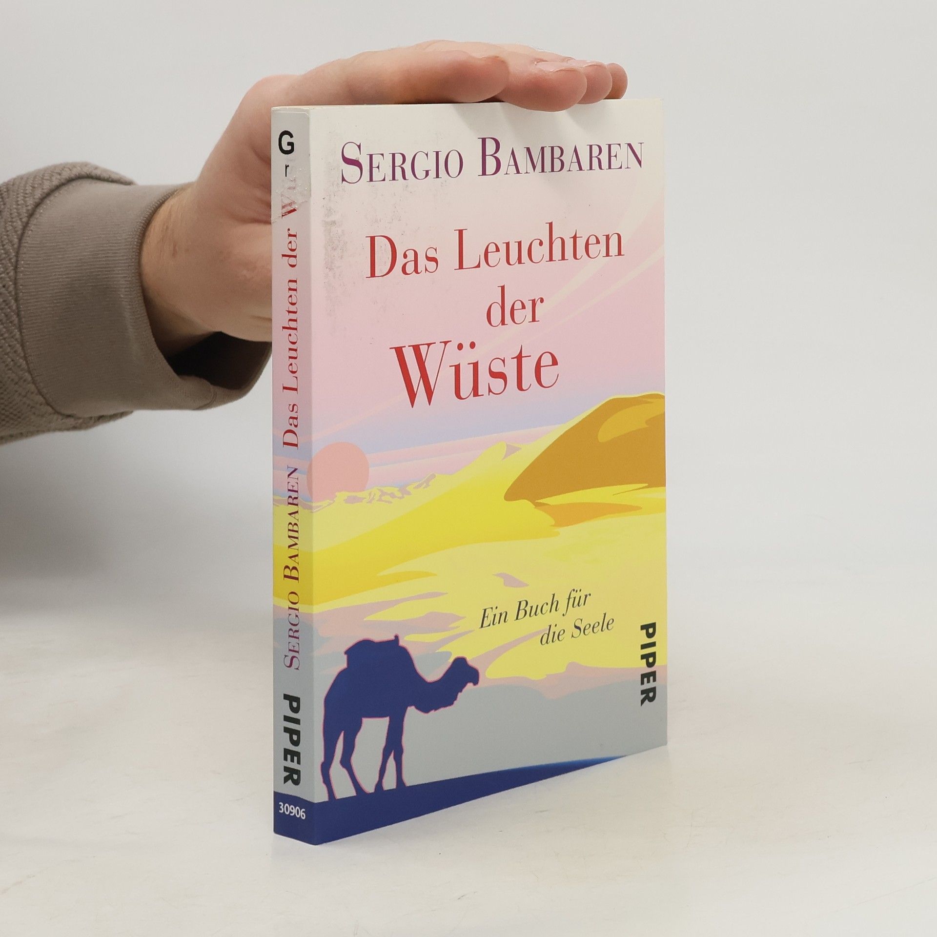 Sergio Bambarén Das Leuchten der Wüste