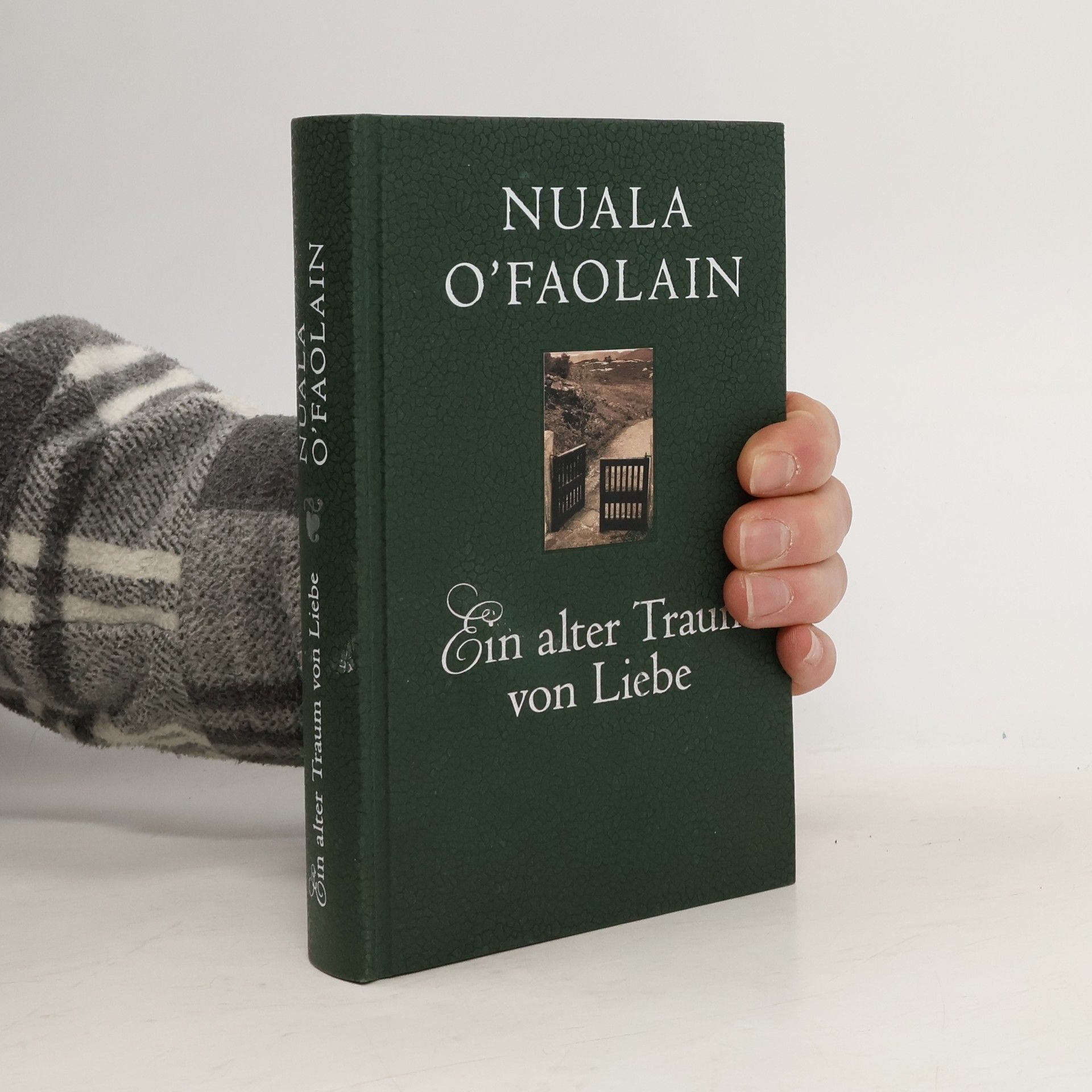 Nuala O. Faolain Ein alter Traum von Liebe