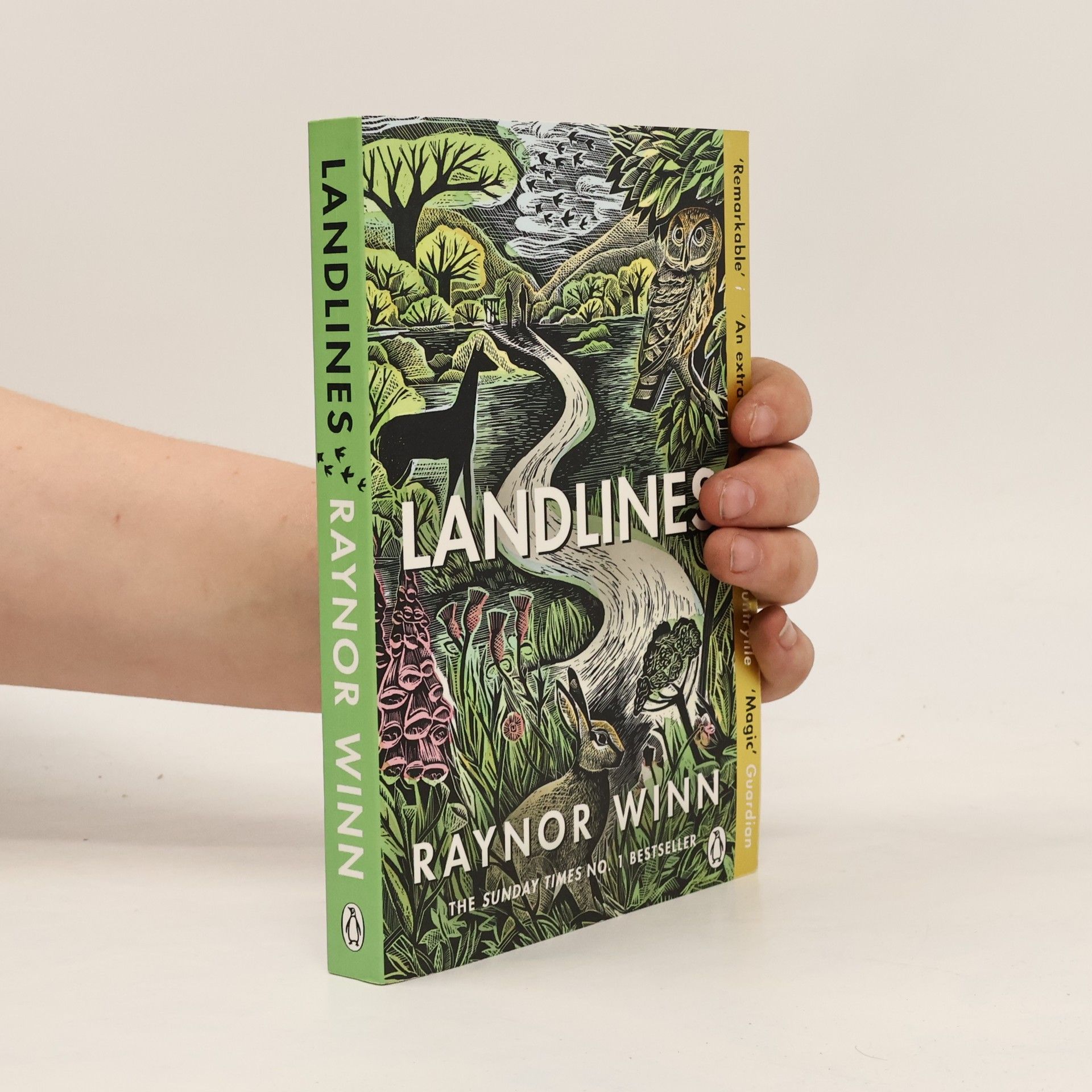 Raynor Winn Landlines