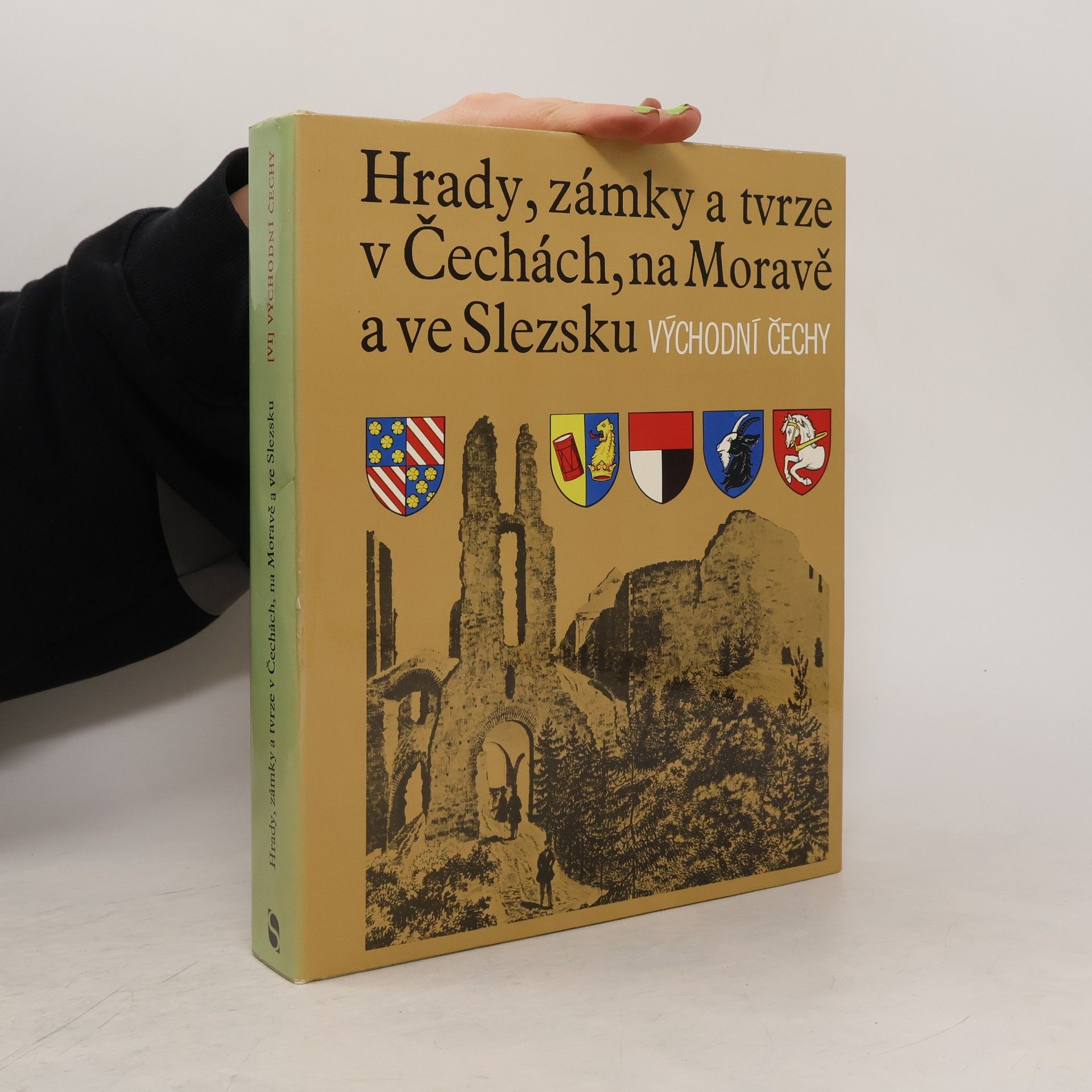 Kolektiv autorů Hrady, zámky a tvrze v Čechách na Moravě a ve Slezsku VI. Východní Čechy