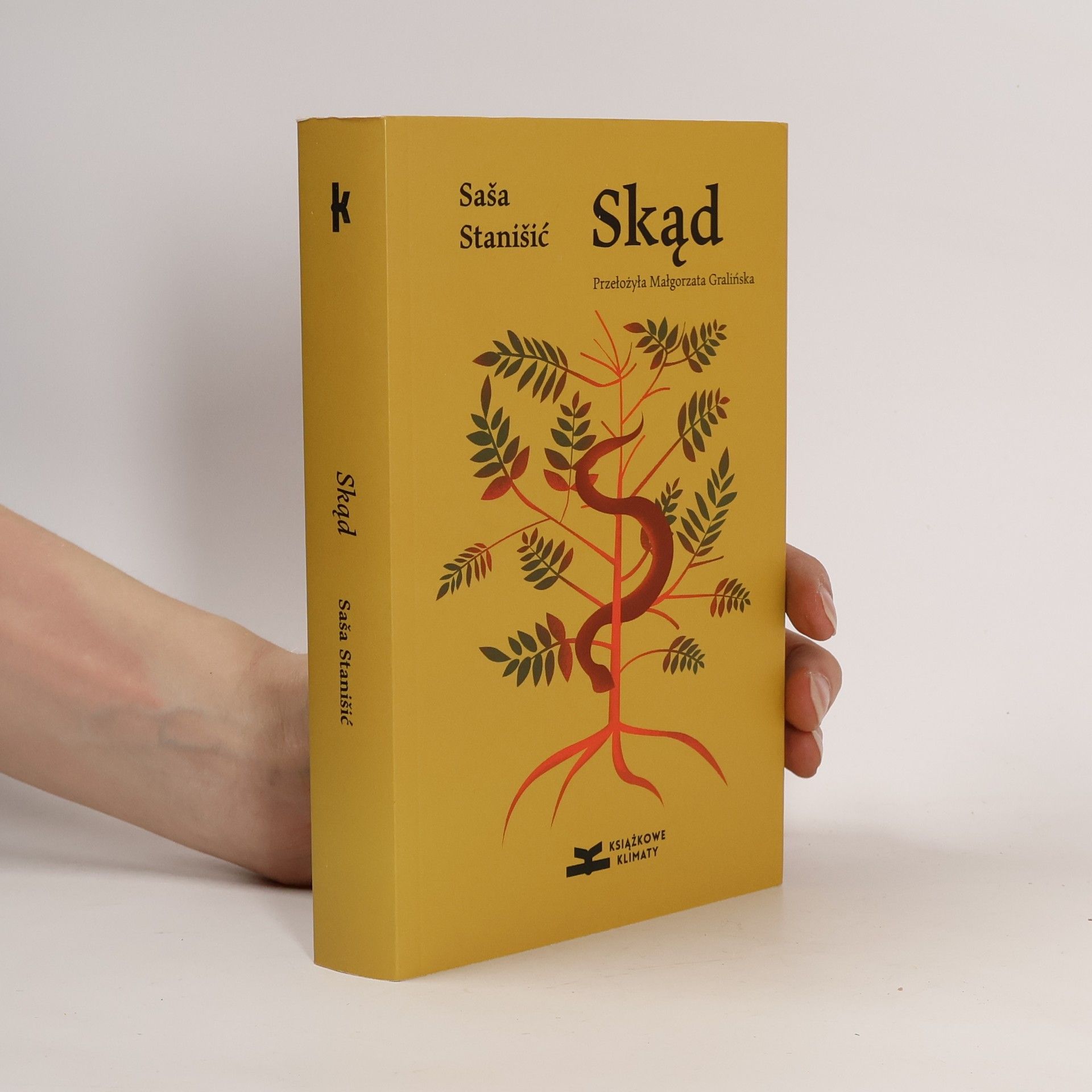 Saša Stanišič Skąd