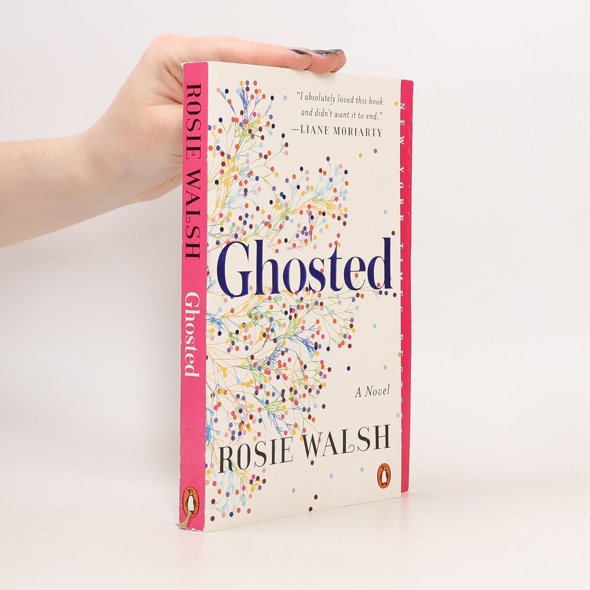 Rosie Walsh Ghosted