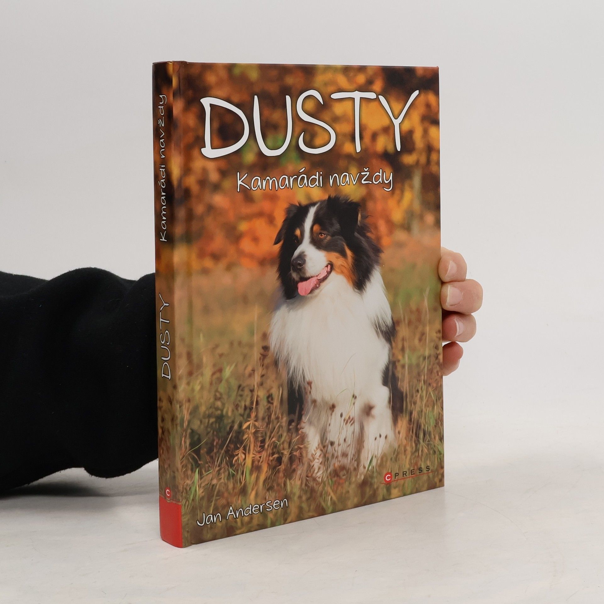 Wolfram Hänel Dusty: Kamarádi navždy