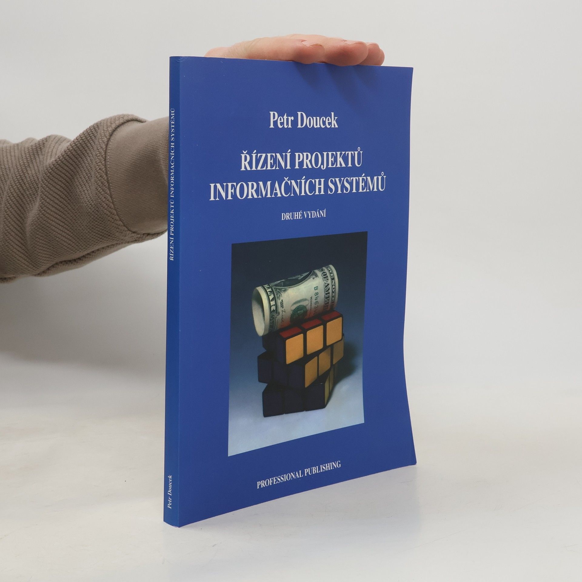 Petr Doucek Řízení projektů informačních systémů