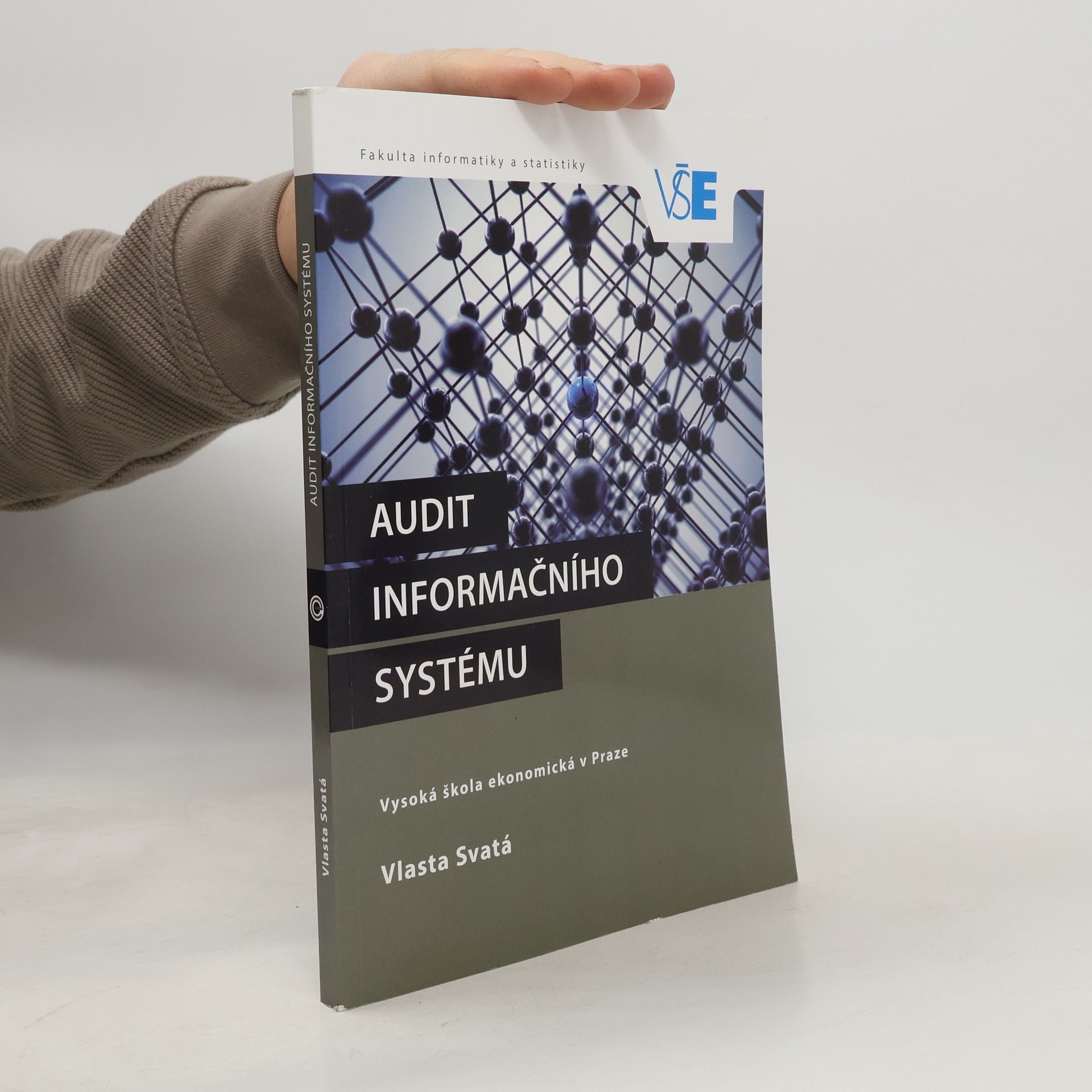 Audit informačního systému