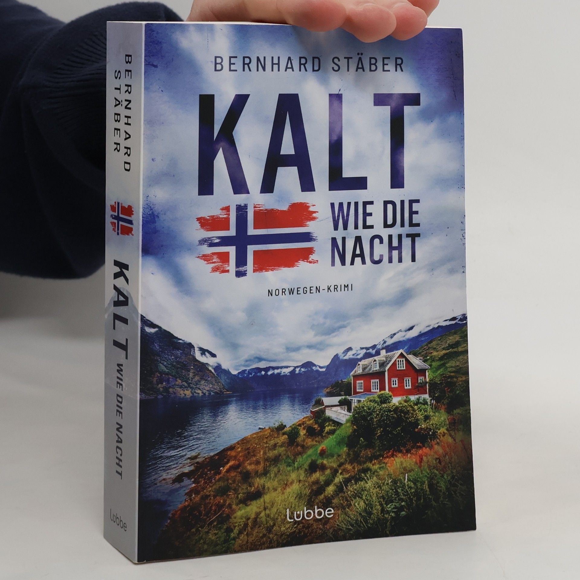 Bernhard Stäber Ein Fall für Wolf Larsen - 1: Kalt wie die Nacht