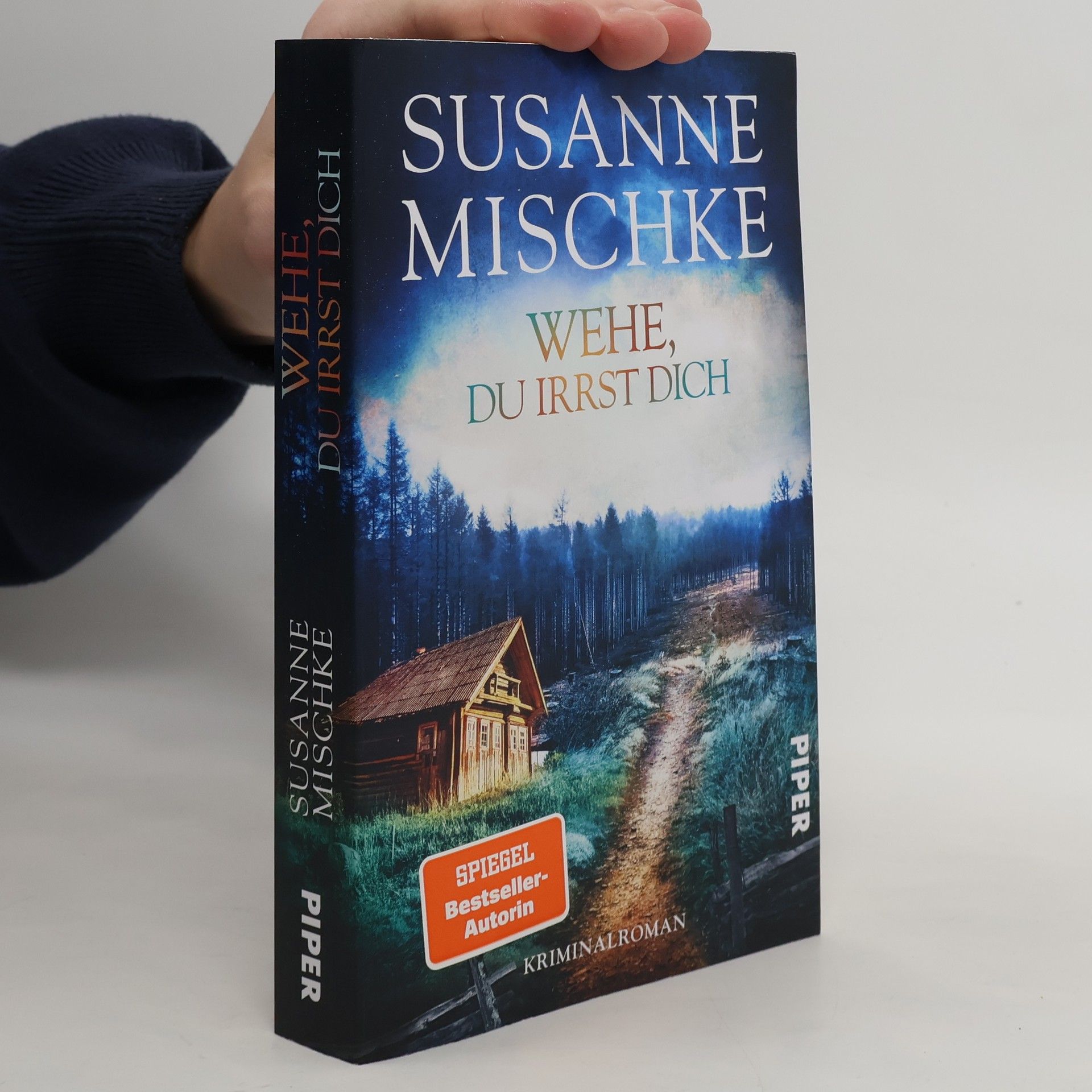 Susanne Mischke Hannover-Krimis - 14: Wehe, du irrst dich