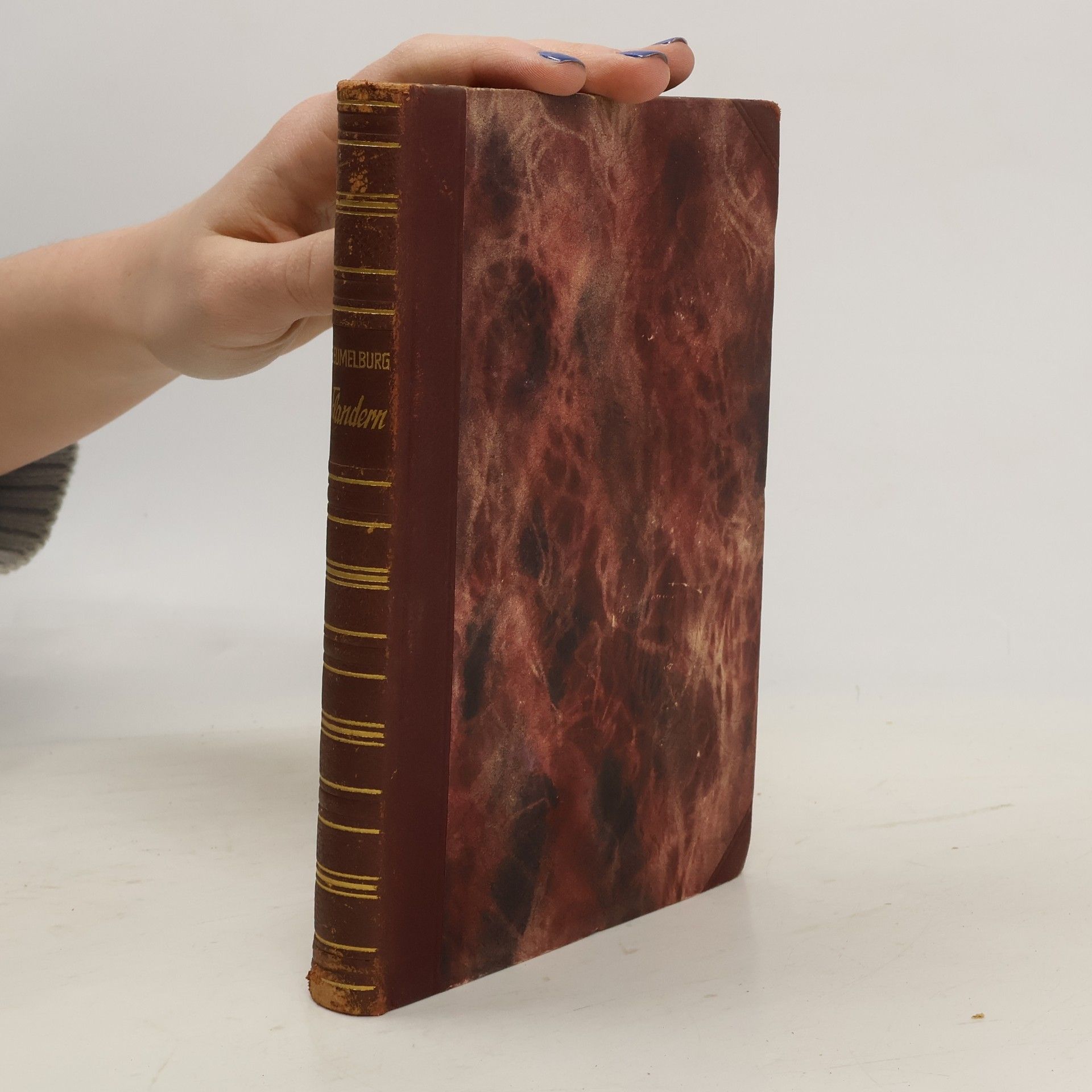 Werner Beumelburg Flandern