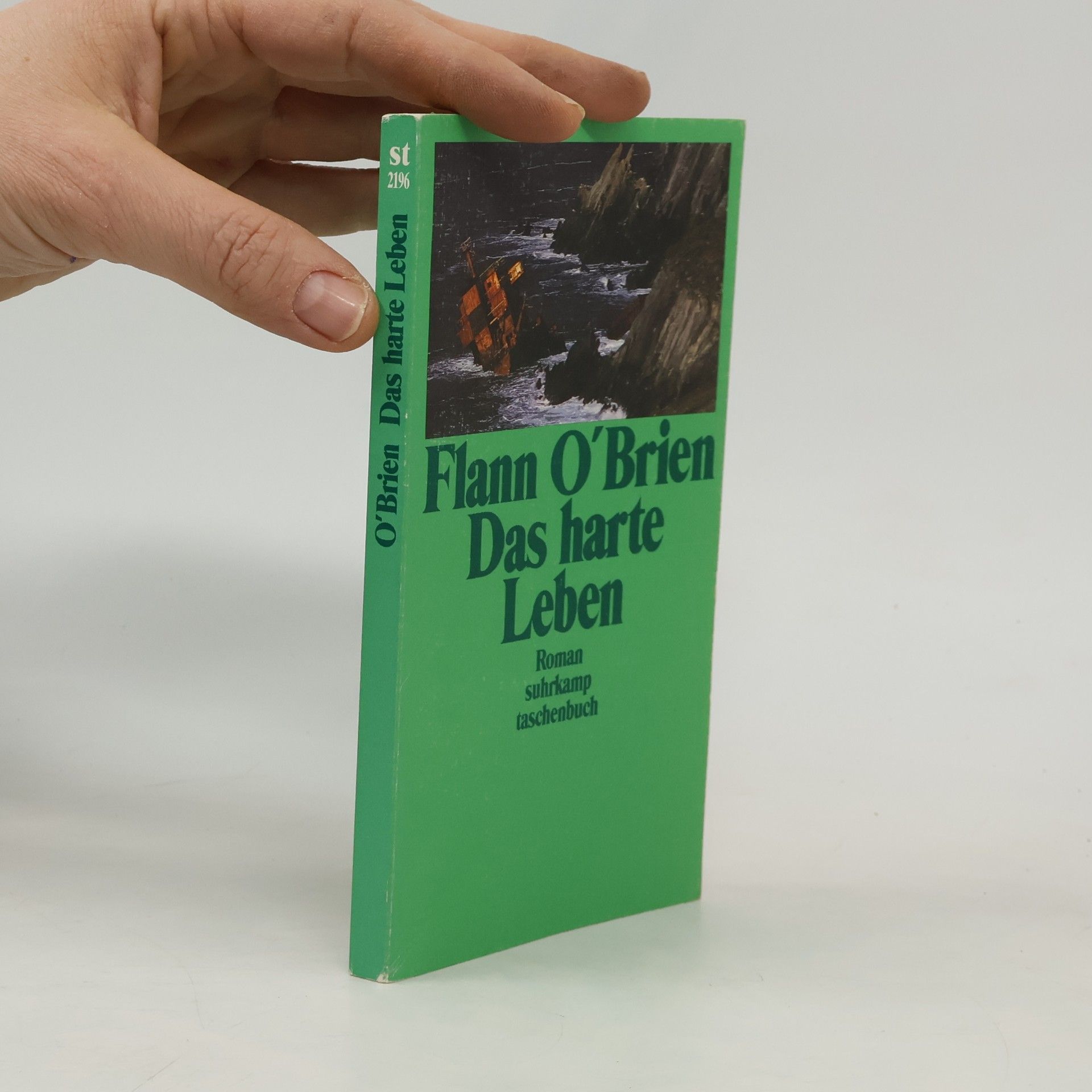 Flann O. Brien Das harte Leben