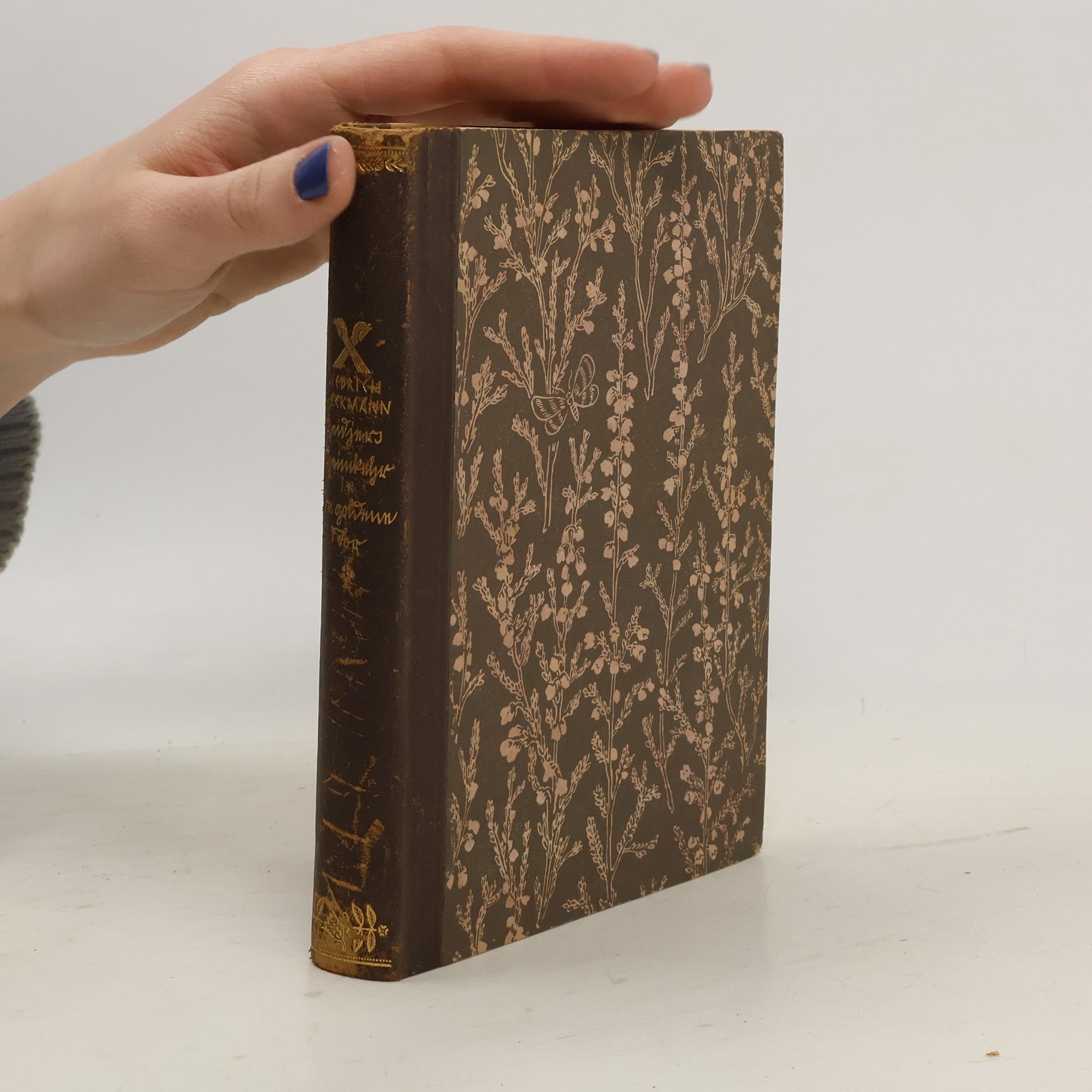 Diedrich Speckmann Heidjers Heimkehr. Das goldene Tor