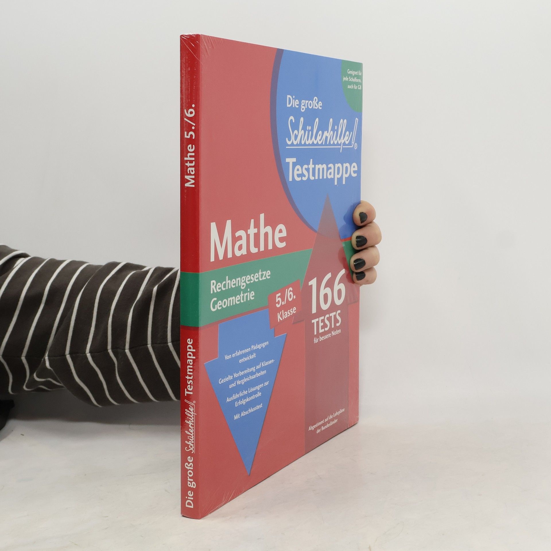 Autorenkollektiv Die große Schülerhilfe Testmappe. Mathe 5./6. Klasse