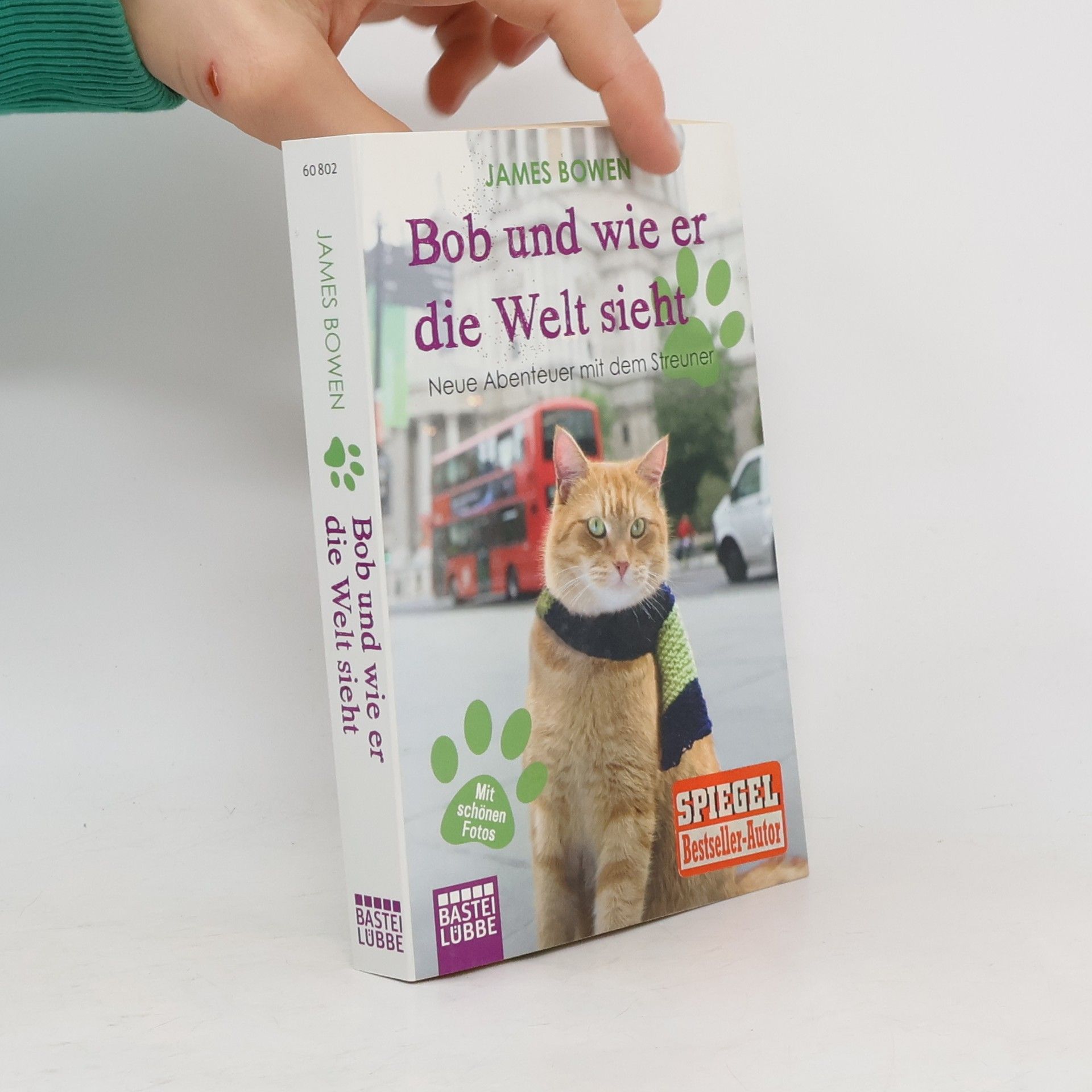 James Bowen Bob und wie er die Welt sieht