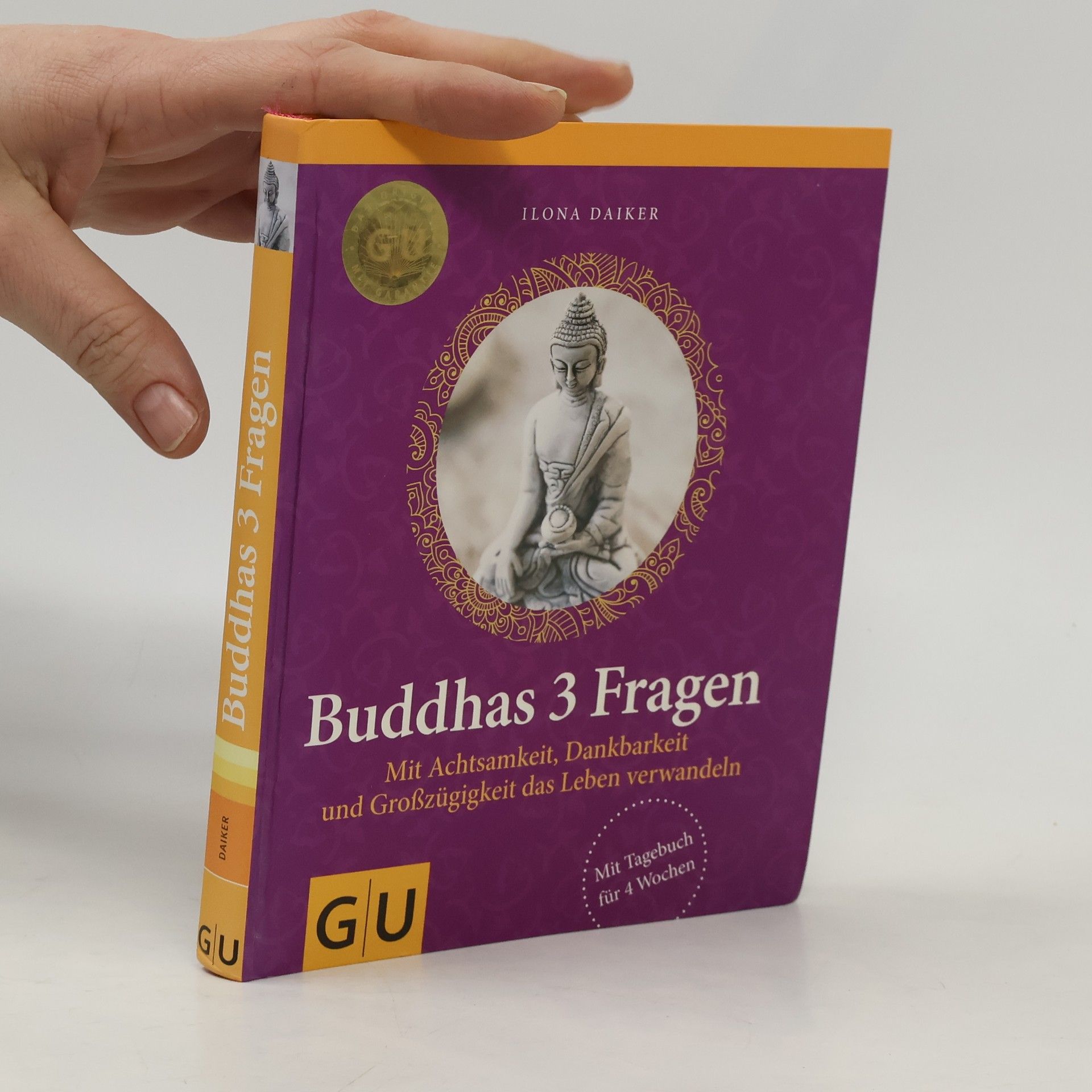 Ilona Daiker Buddhas 3 Fragen