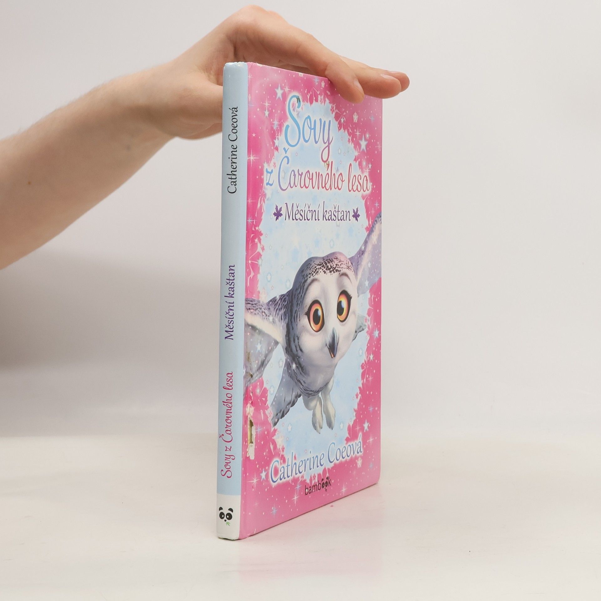 Catherine Coe Sovy z Čarovného lesa: Měsíční kaštan