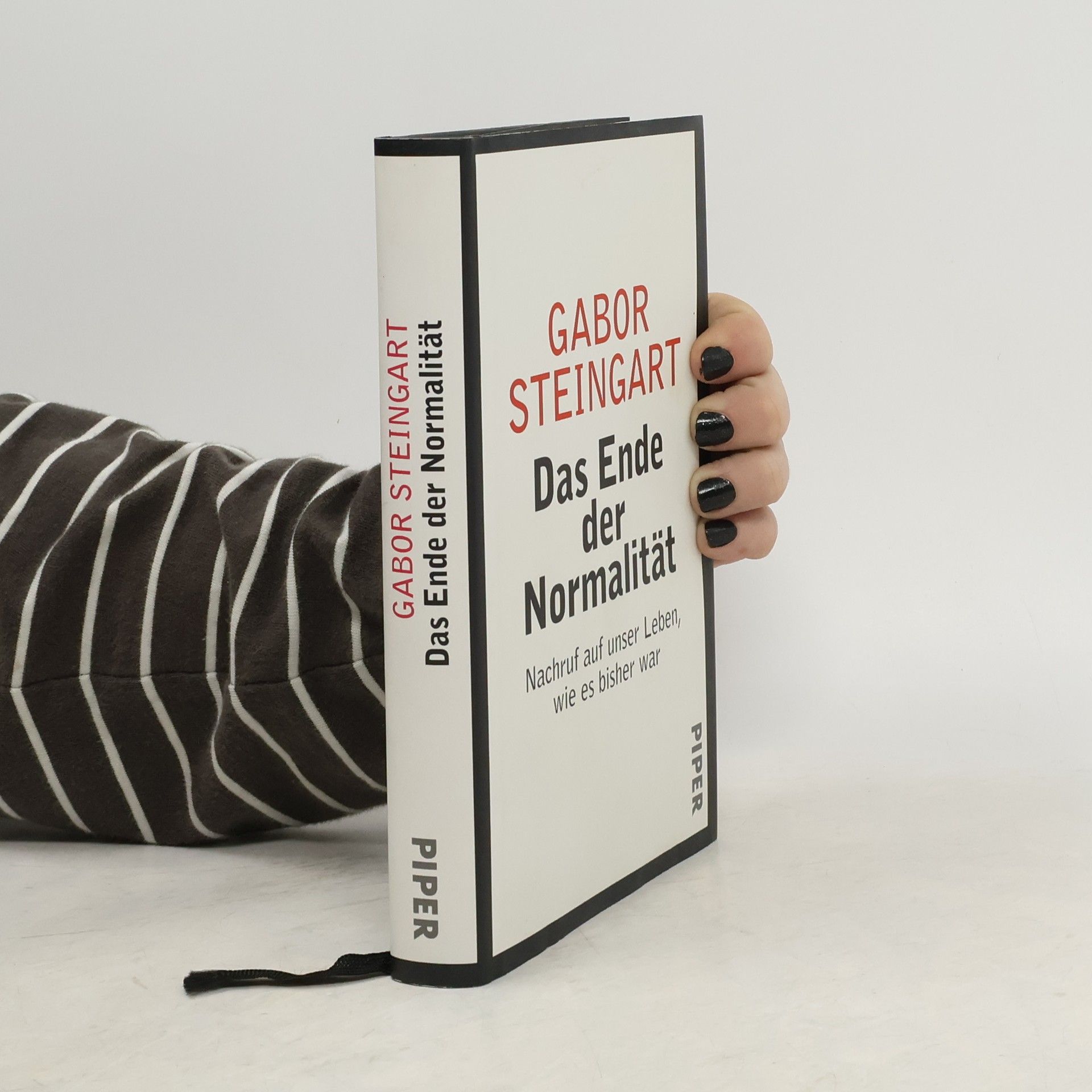 Gabor Steingart Das Ende der Normalität