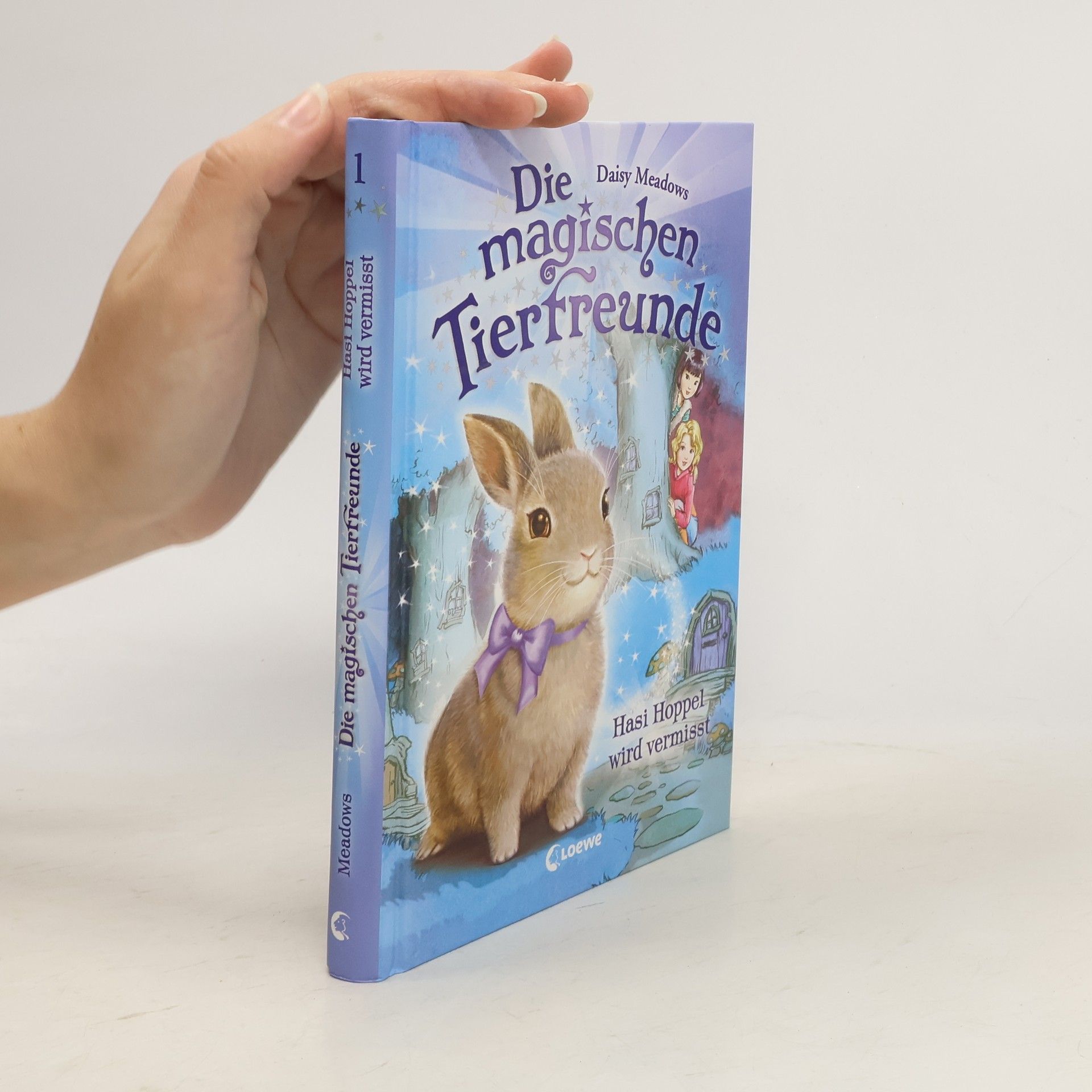 Daisy Meadows Hasi Hoppel wird vermisst