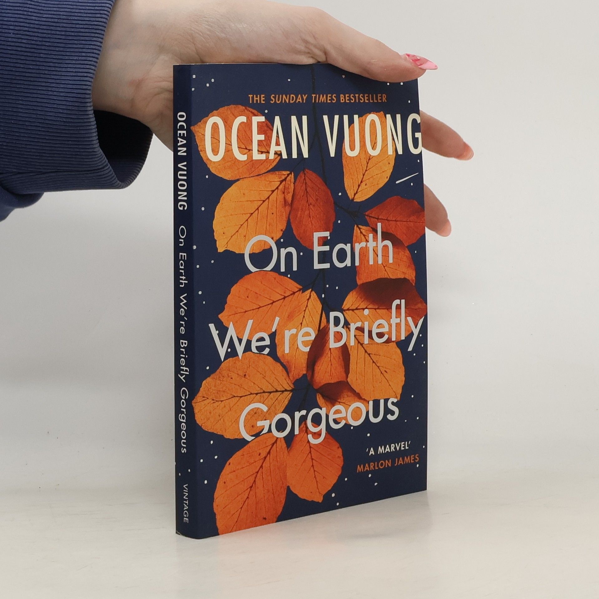 Ocean Vuong On Earth We're Briefly Gorgeous