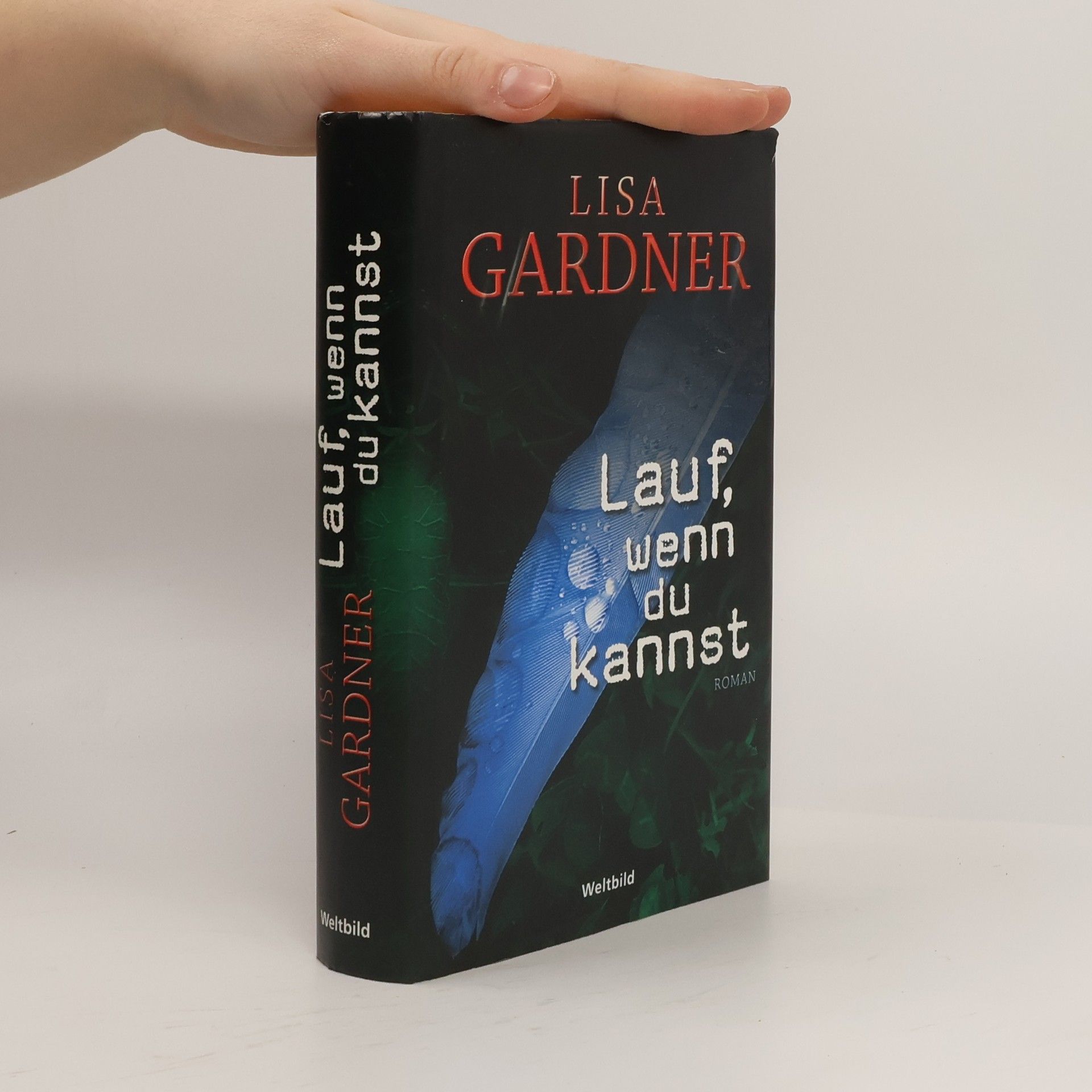 Lisa Gardner Lauf, wenn du kannst