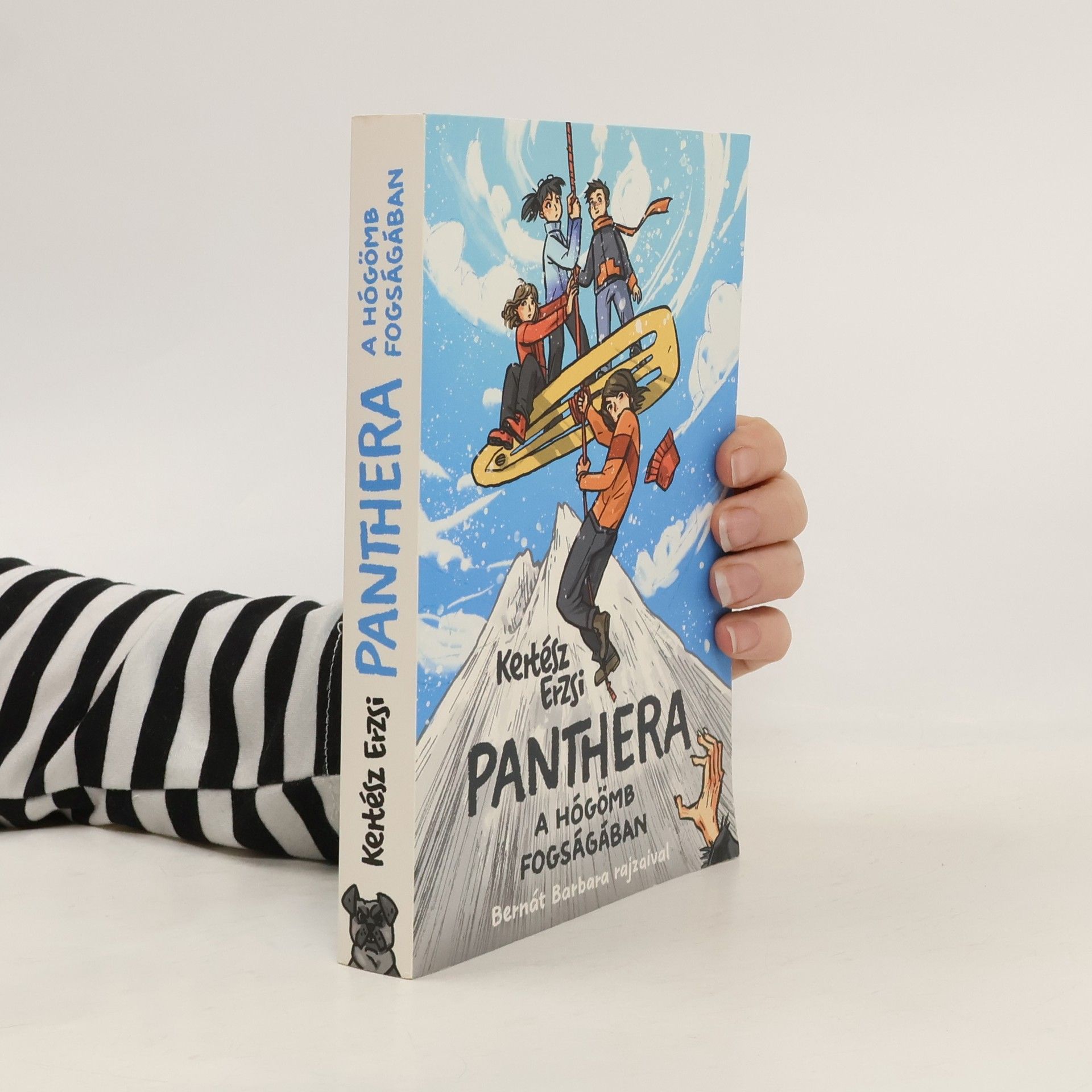 Erzsi Kertész Panthera - A hógömb fogságában