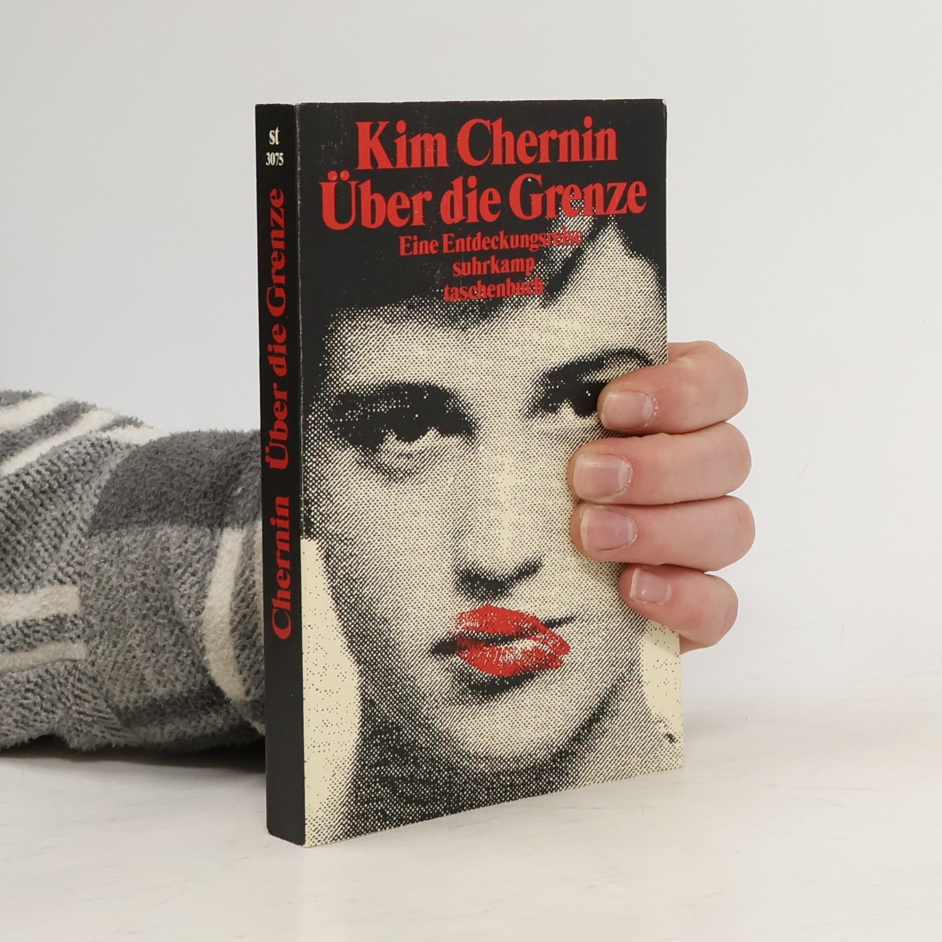 Kim Chernin Suhrkamp Taschenbücher: Über die Grenze