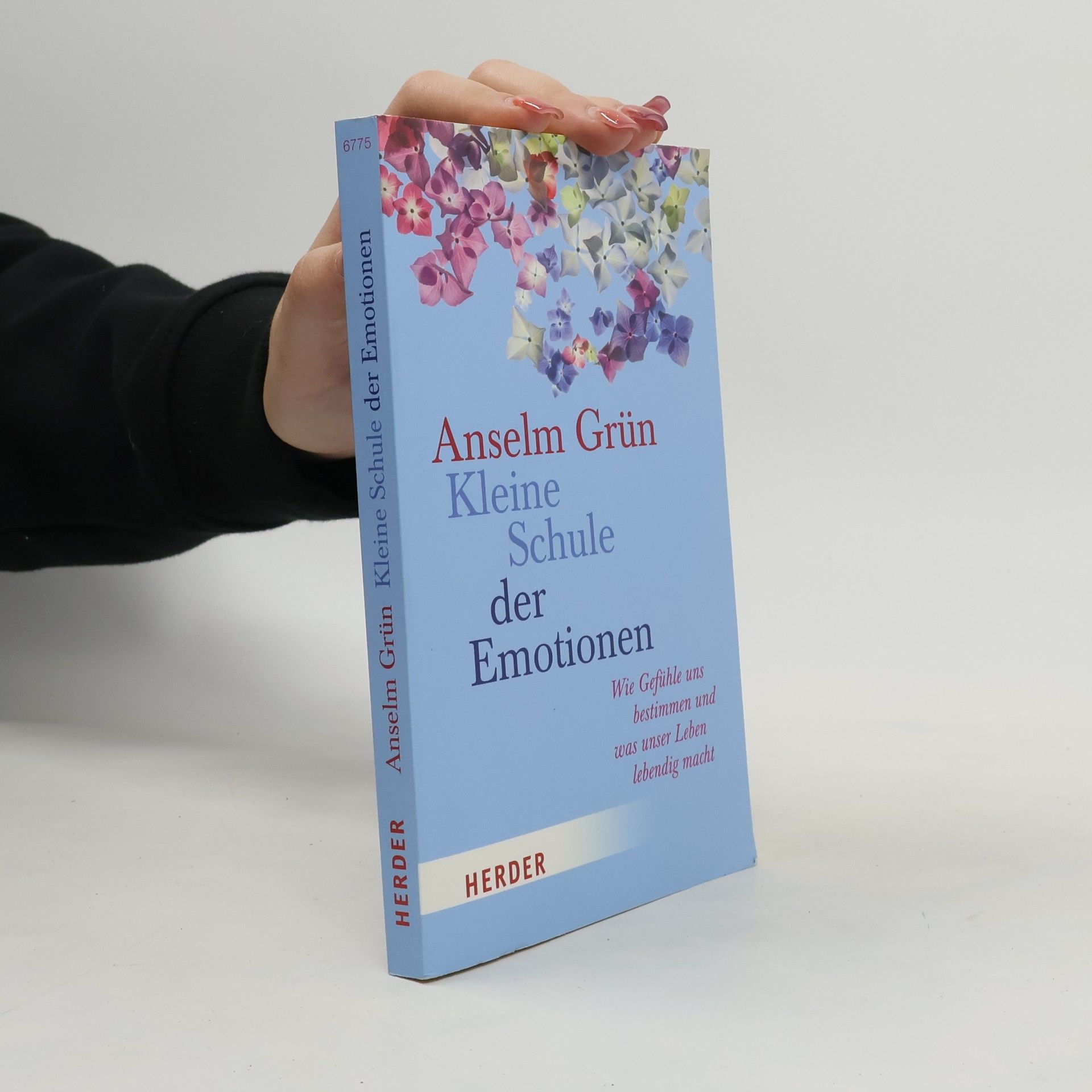 Anselm Grün Kleine Schule der Emotionen