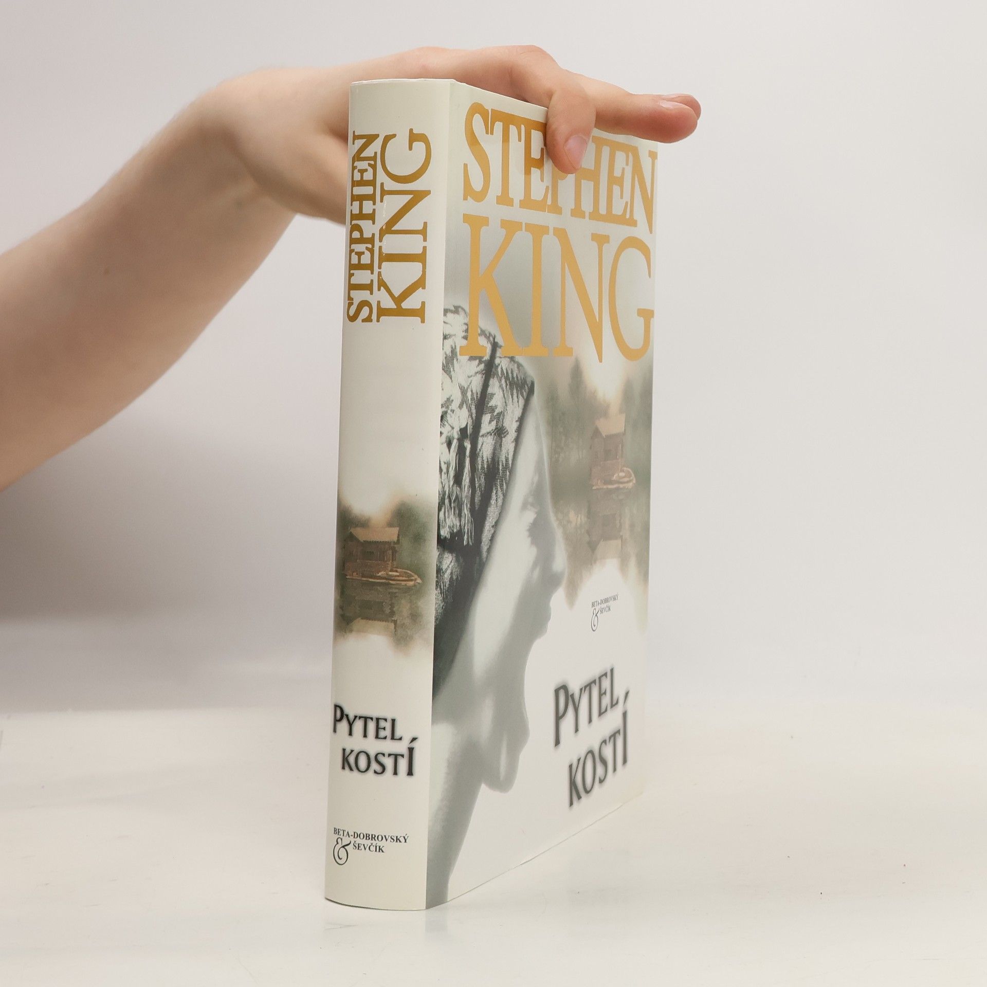 Stephen King Pytel kostí