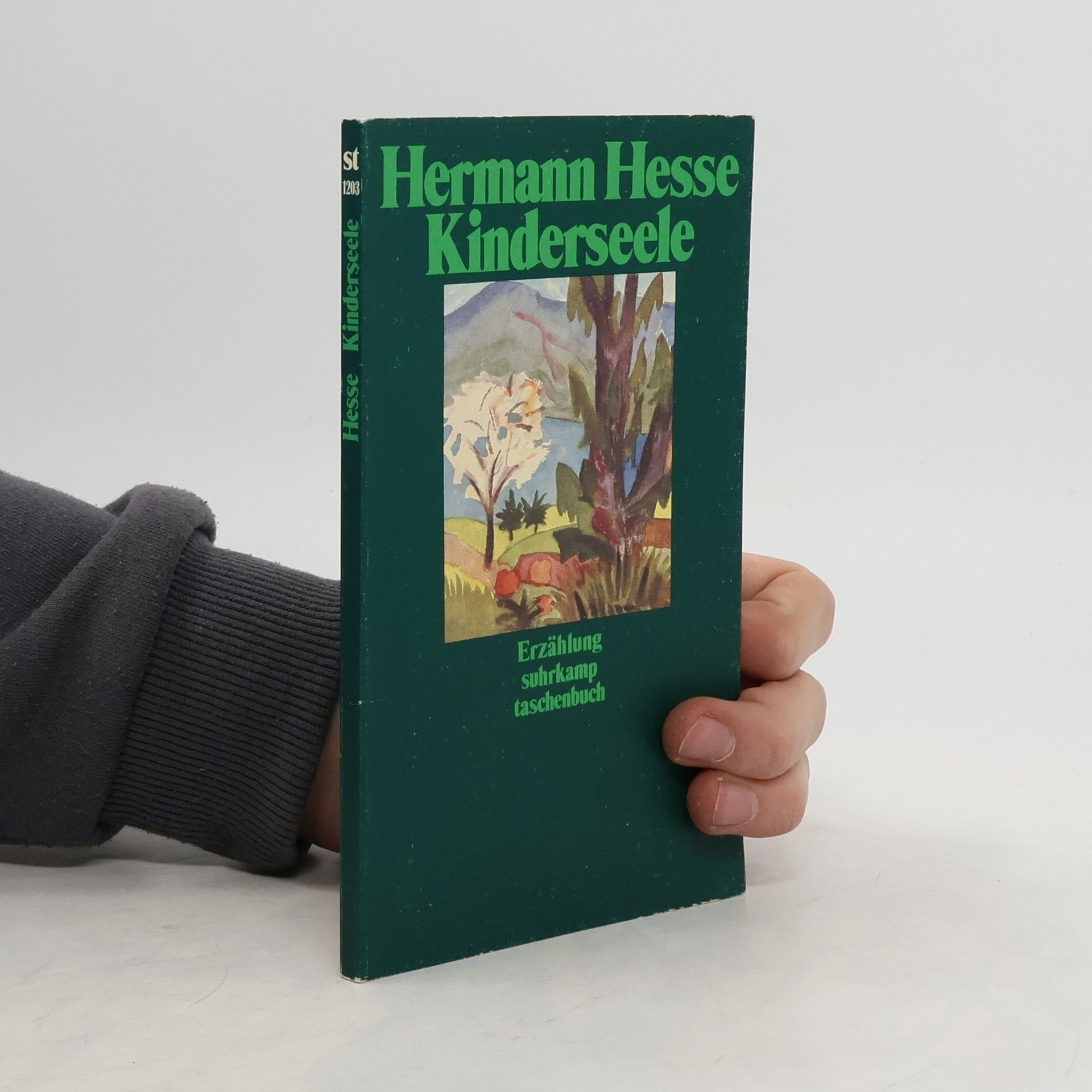 Hermann Hesse Kinderseele