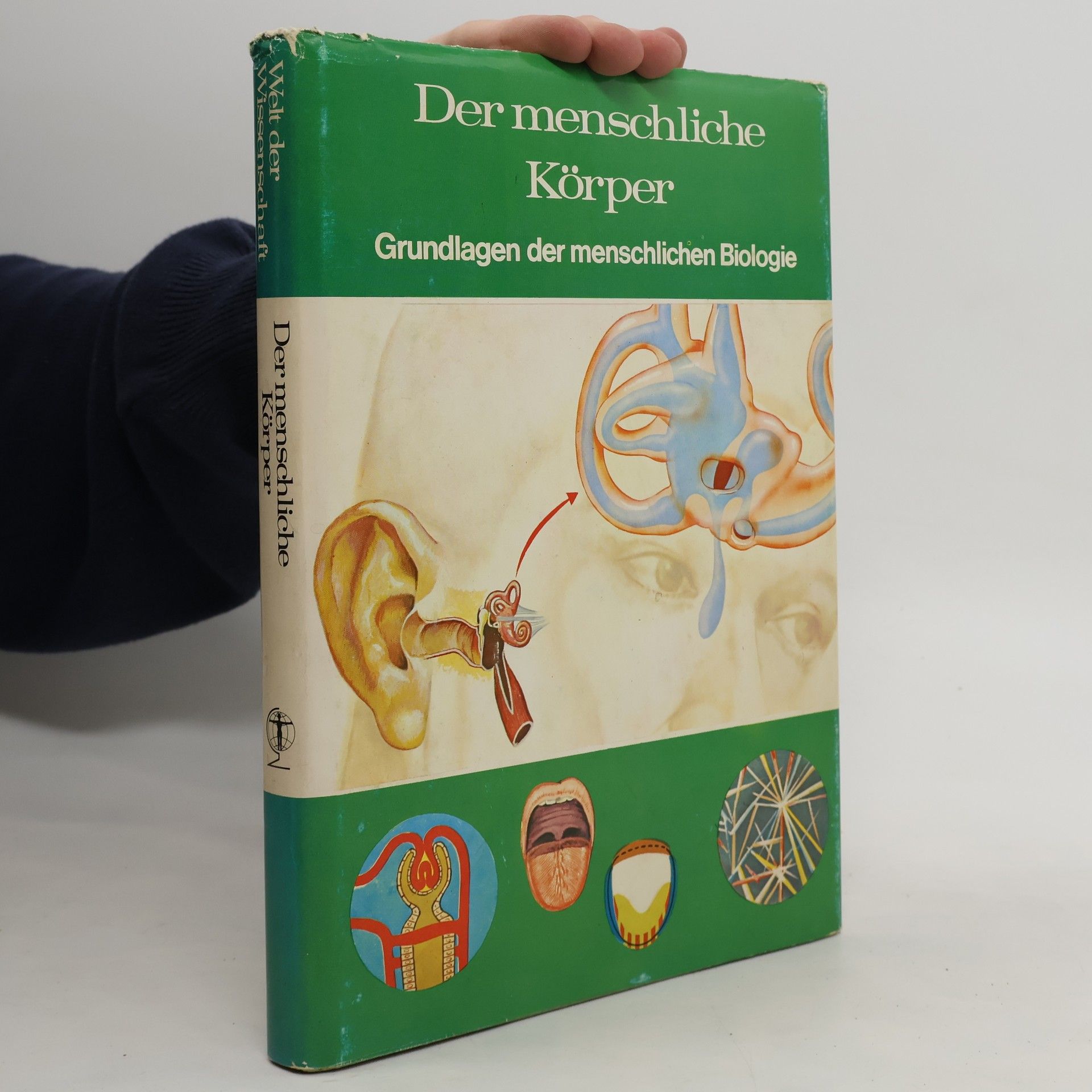 Auteurscollectief Der menschliche Körper