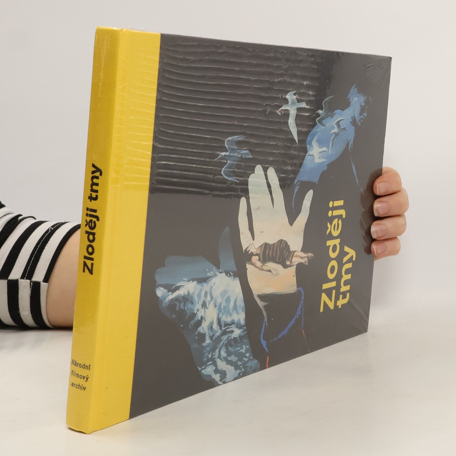 Lucie Bokšteflová Zloději tmy