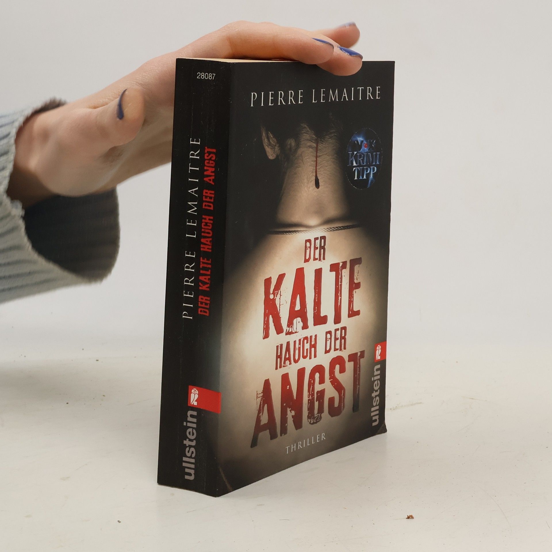 Pierre Lemaitre Der Kalte Hauch der Angst
